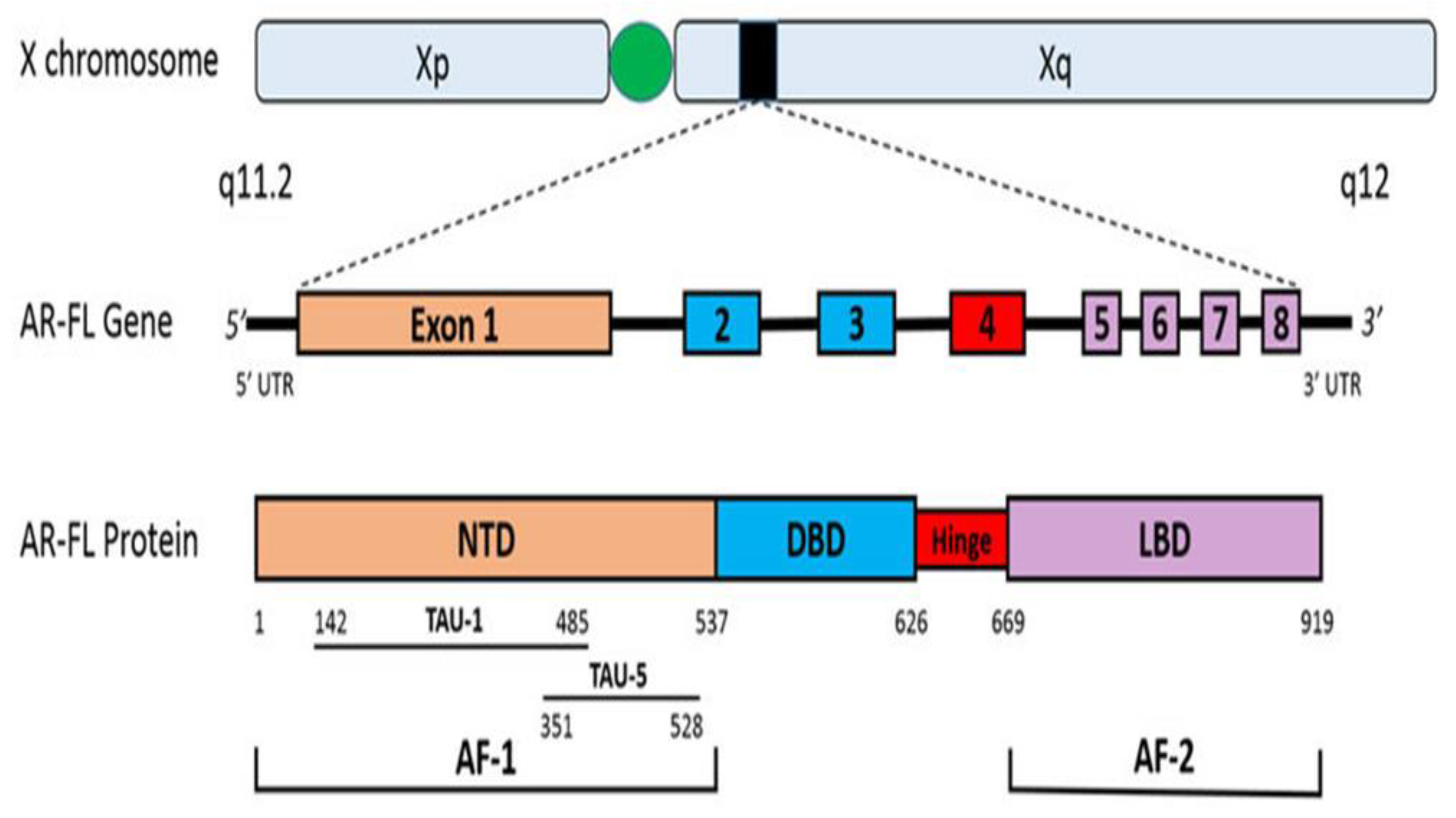 Preprints 73243 g001