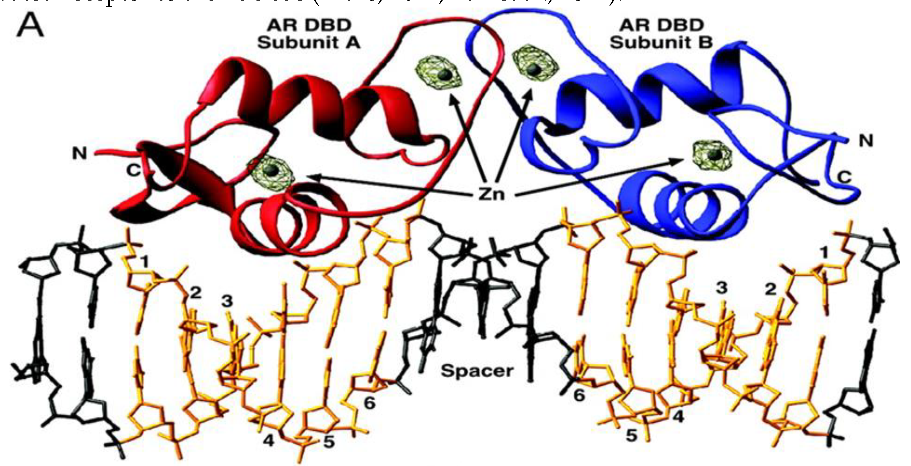 Preprints 73243 g002