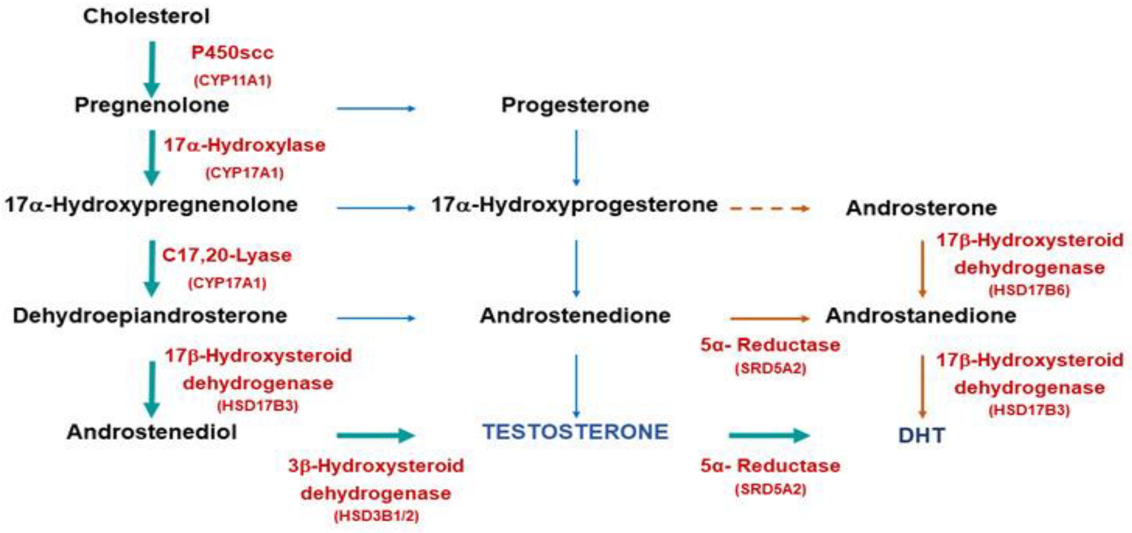 Preprints 73243 g003