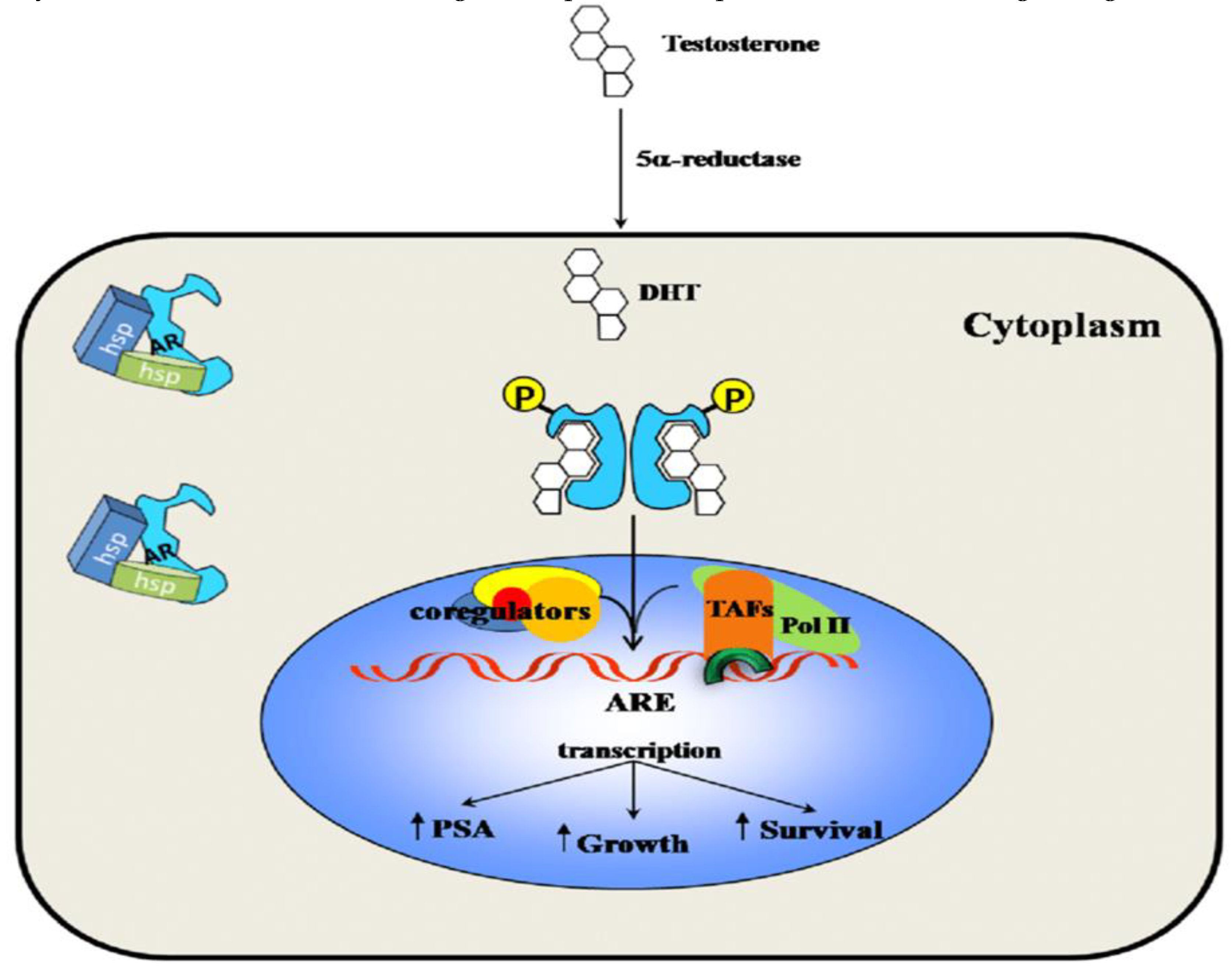 Preprints 73243 g004