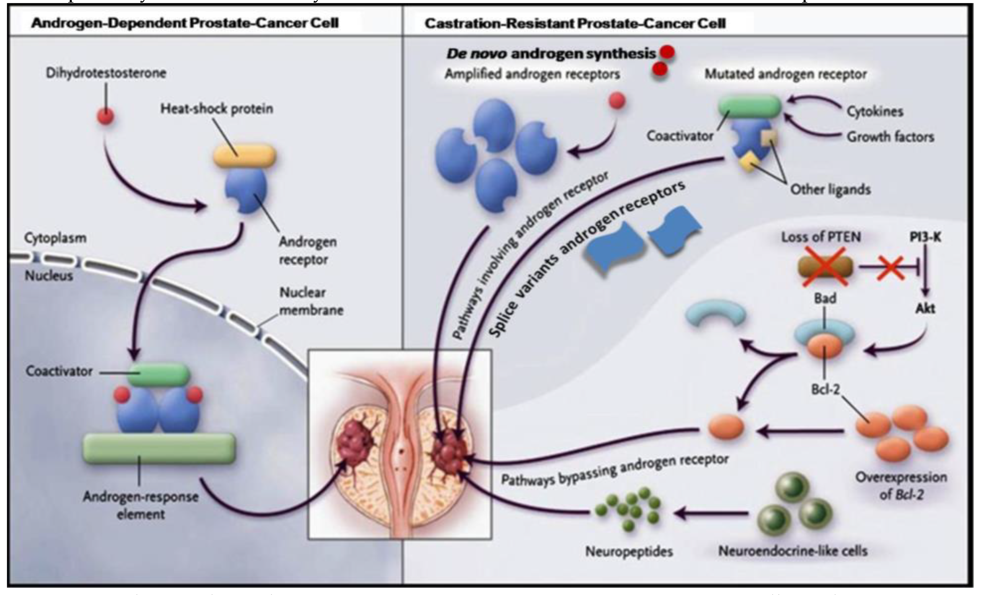 Preprints 73243 g005