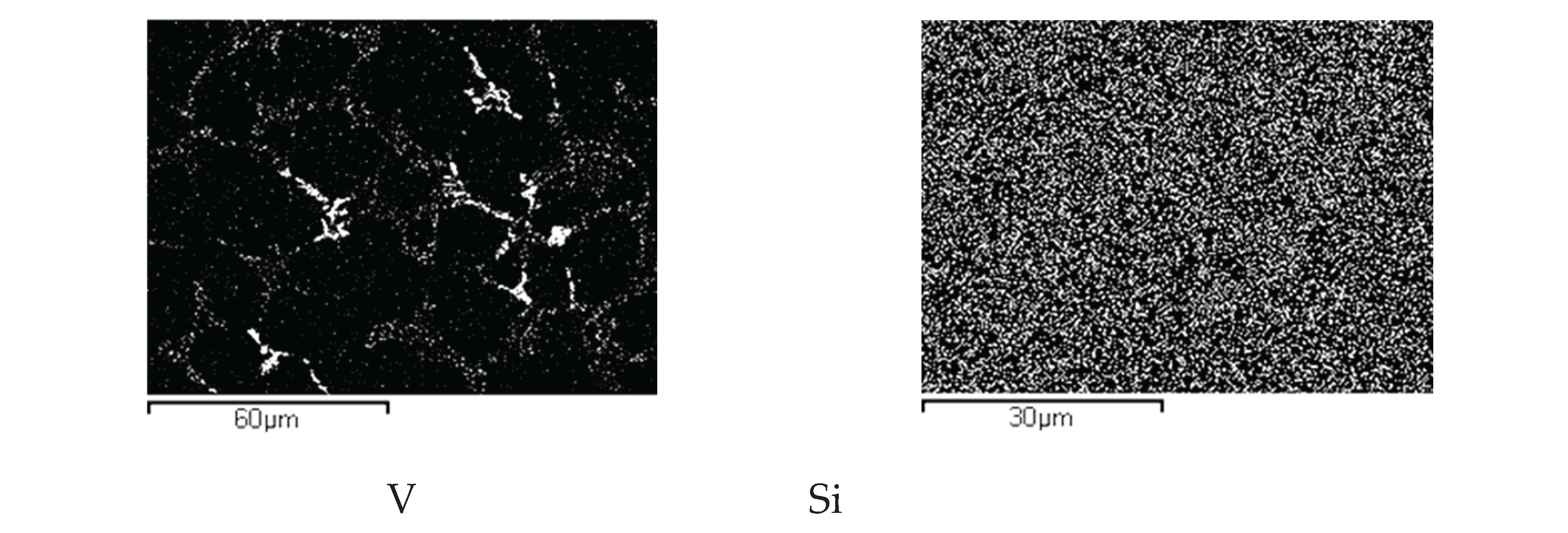 Preprints 200043 g005b