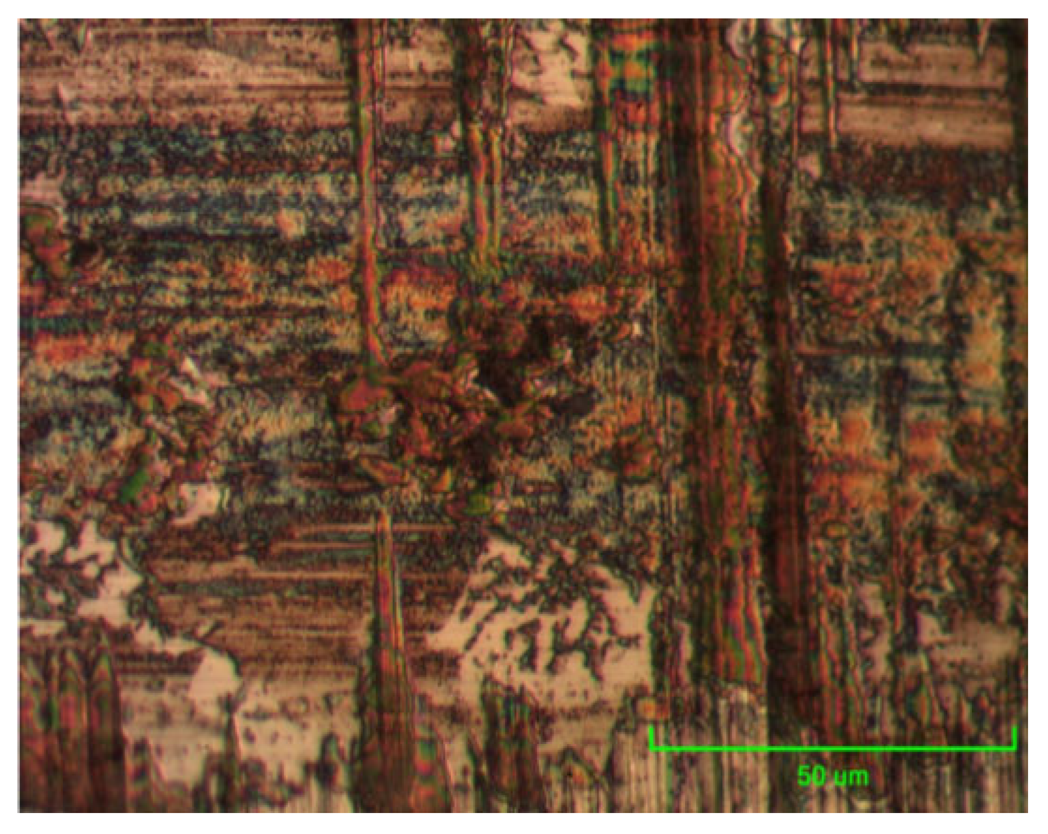 Preprints 200043 g010