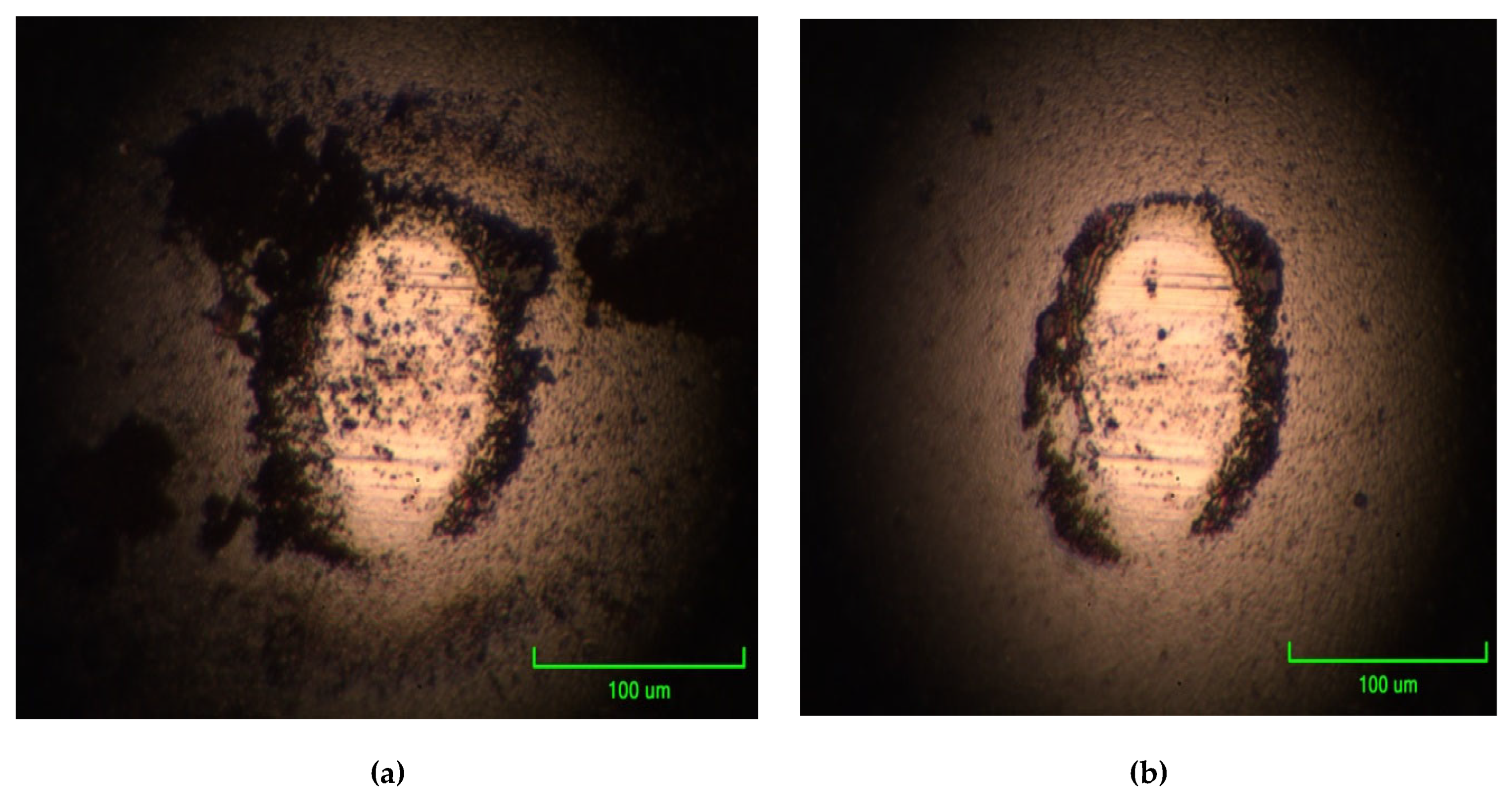 Preprints 200043 g011