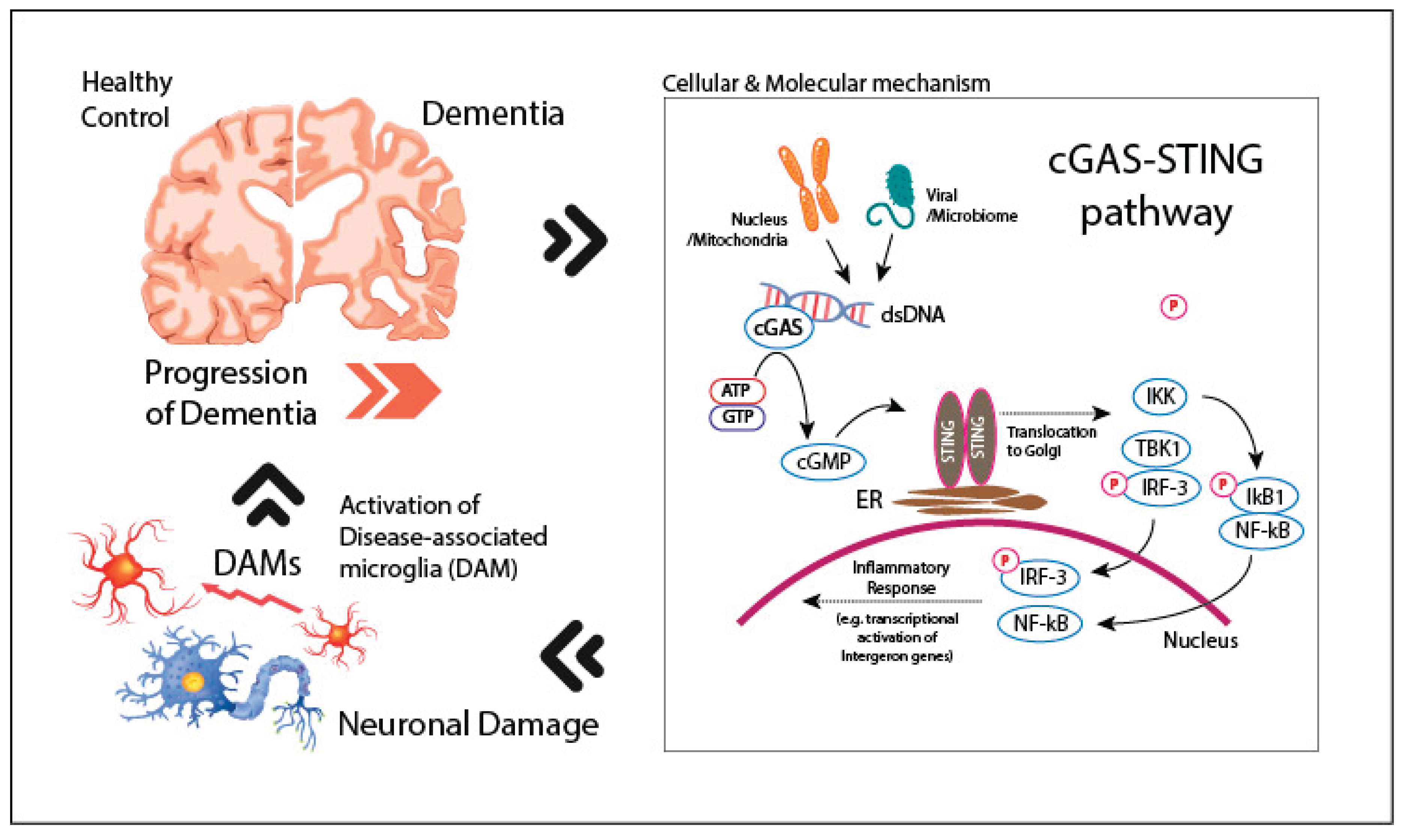 Preprints 180879 g001