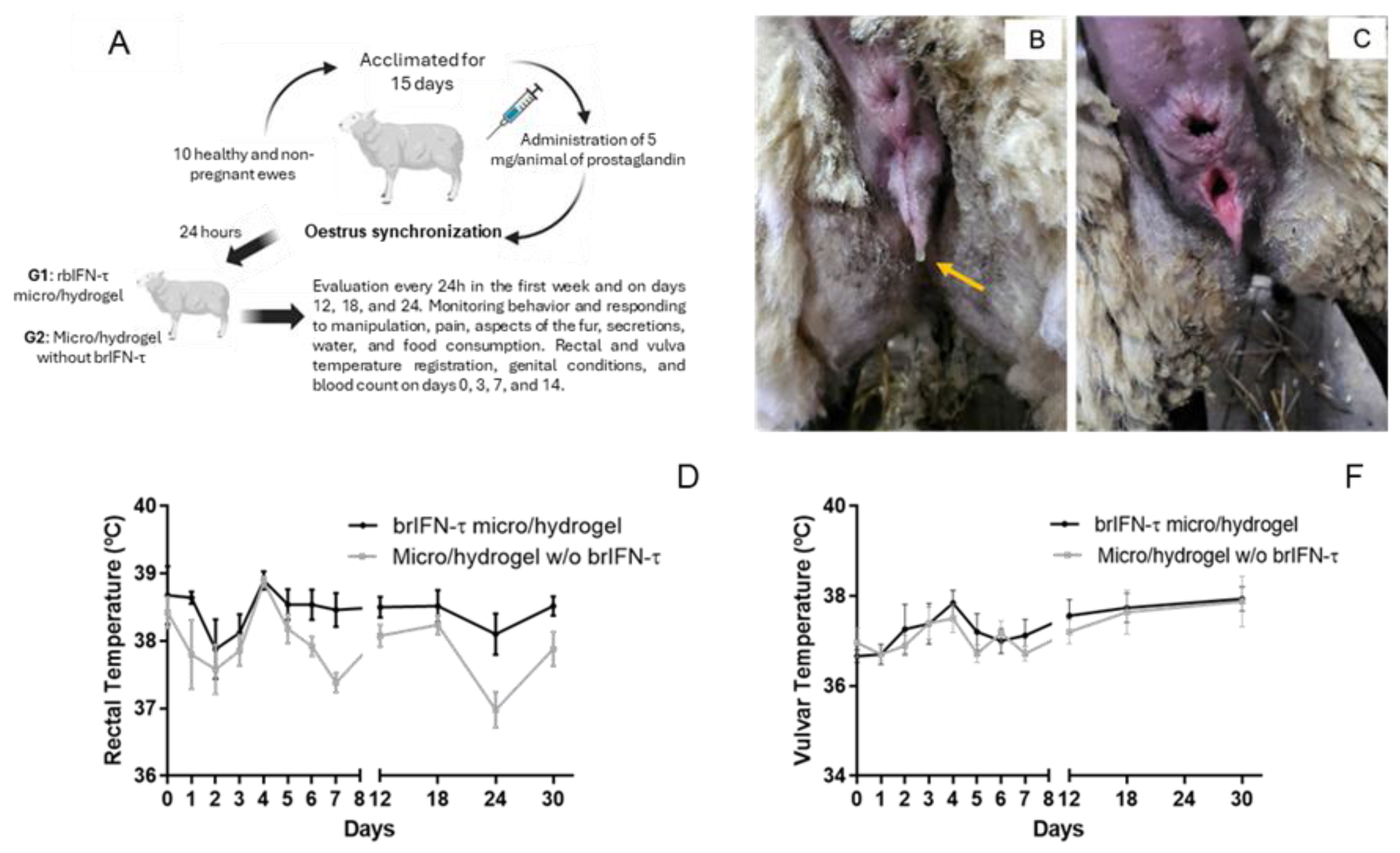 Preprints 161836 g010