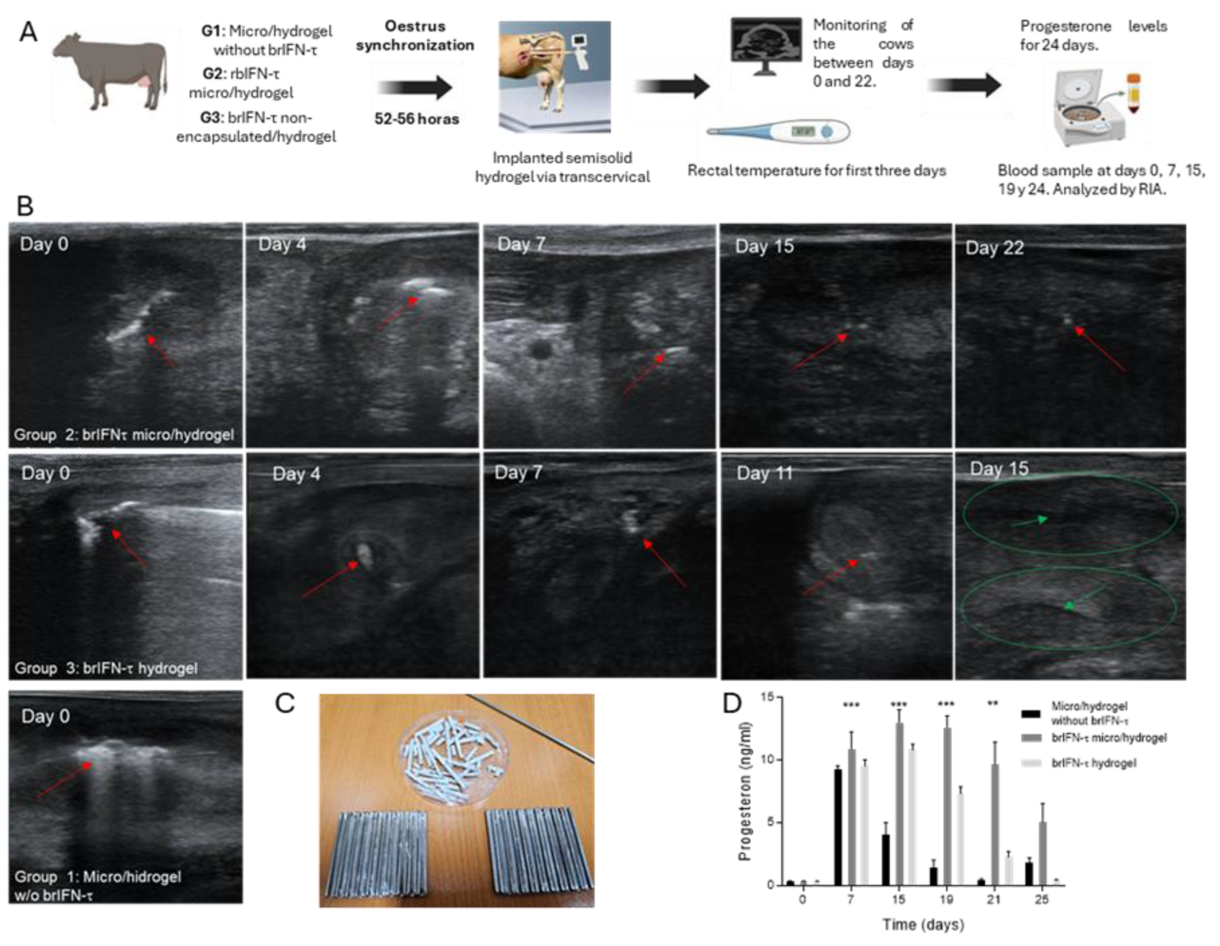 Preprints 161836 g011