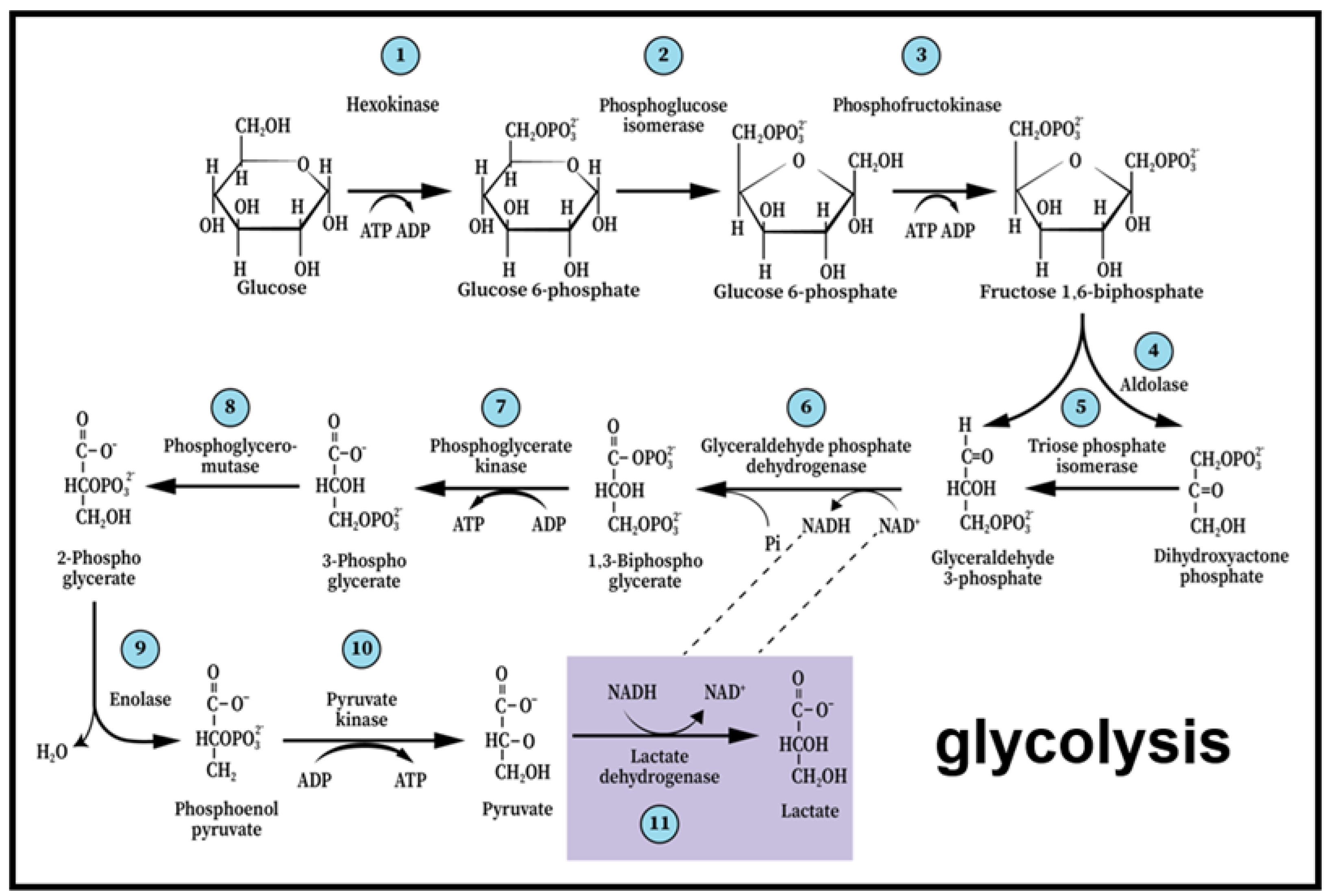 Preprints 161980 g001
