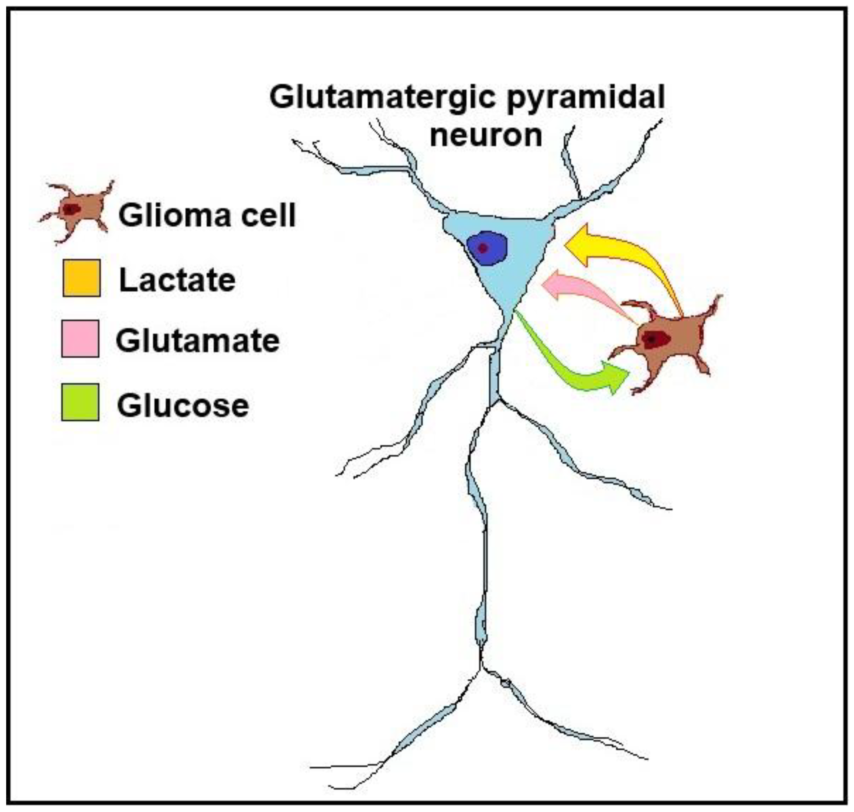 Preprints 161980 g002