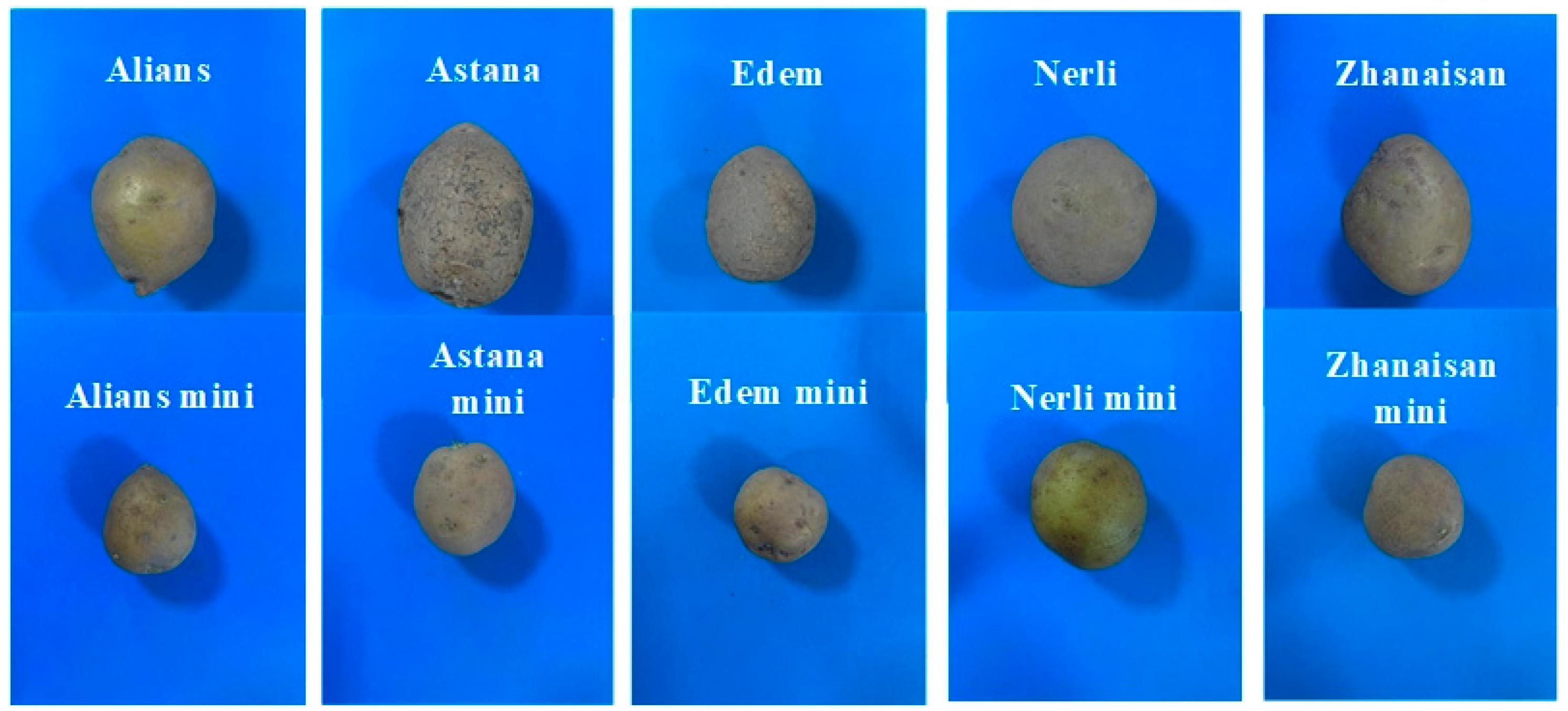 Preprints 180326 g001