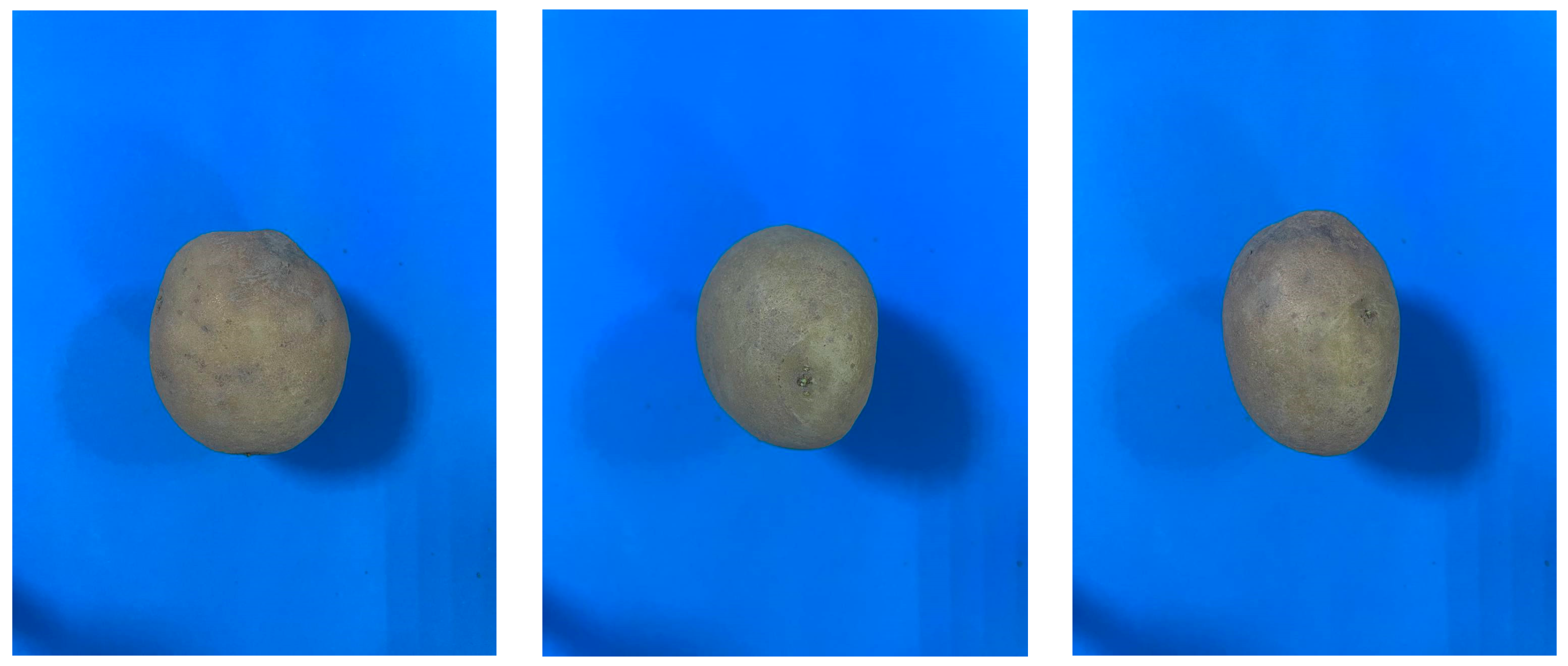 Preprints 180326 g003