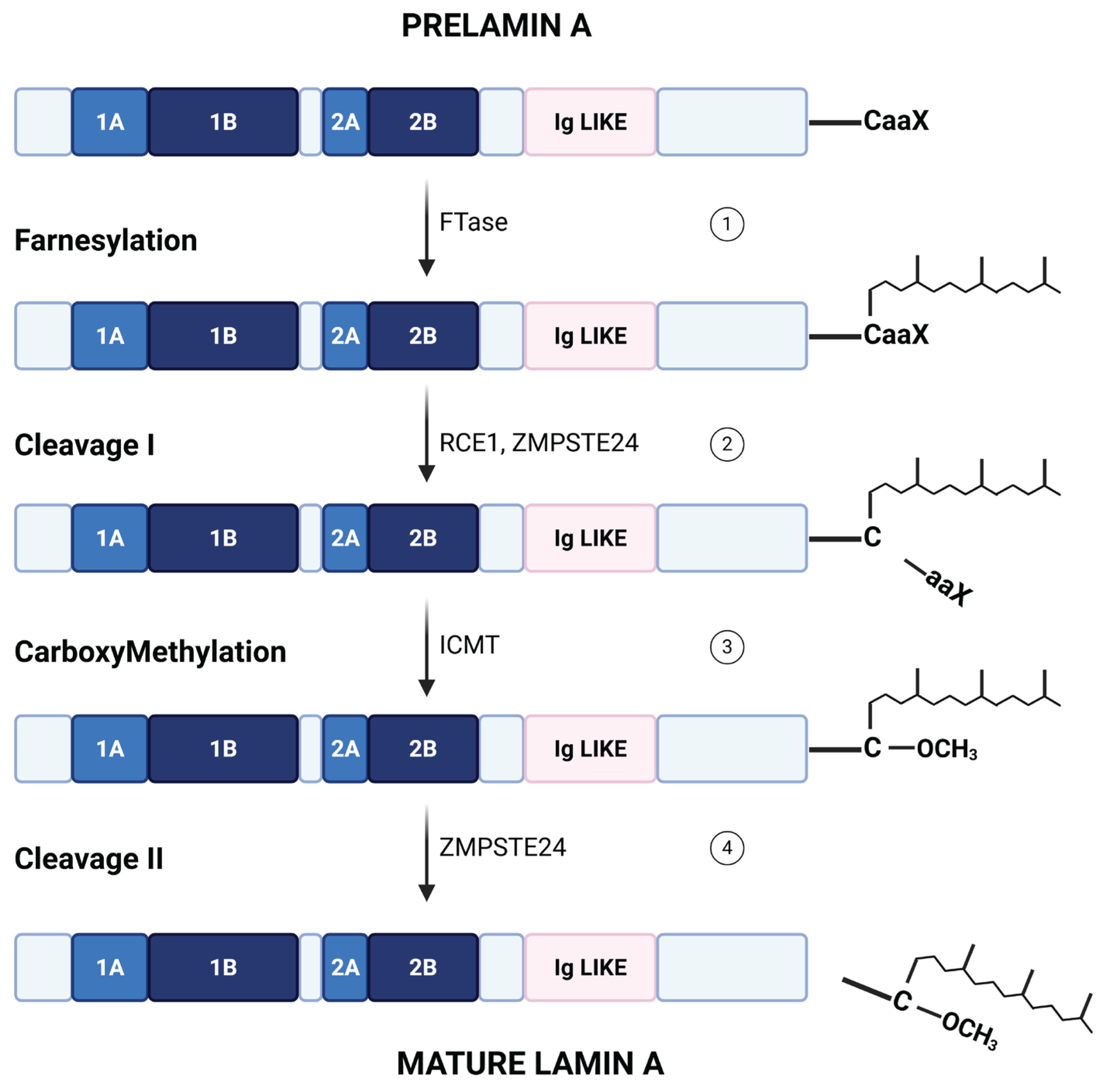 Preprints 196836 g002