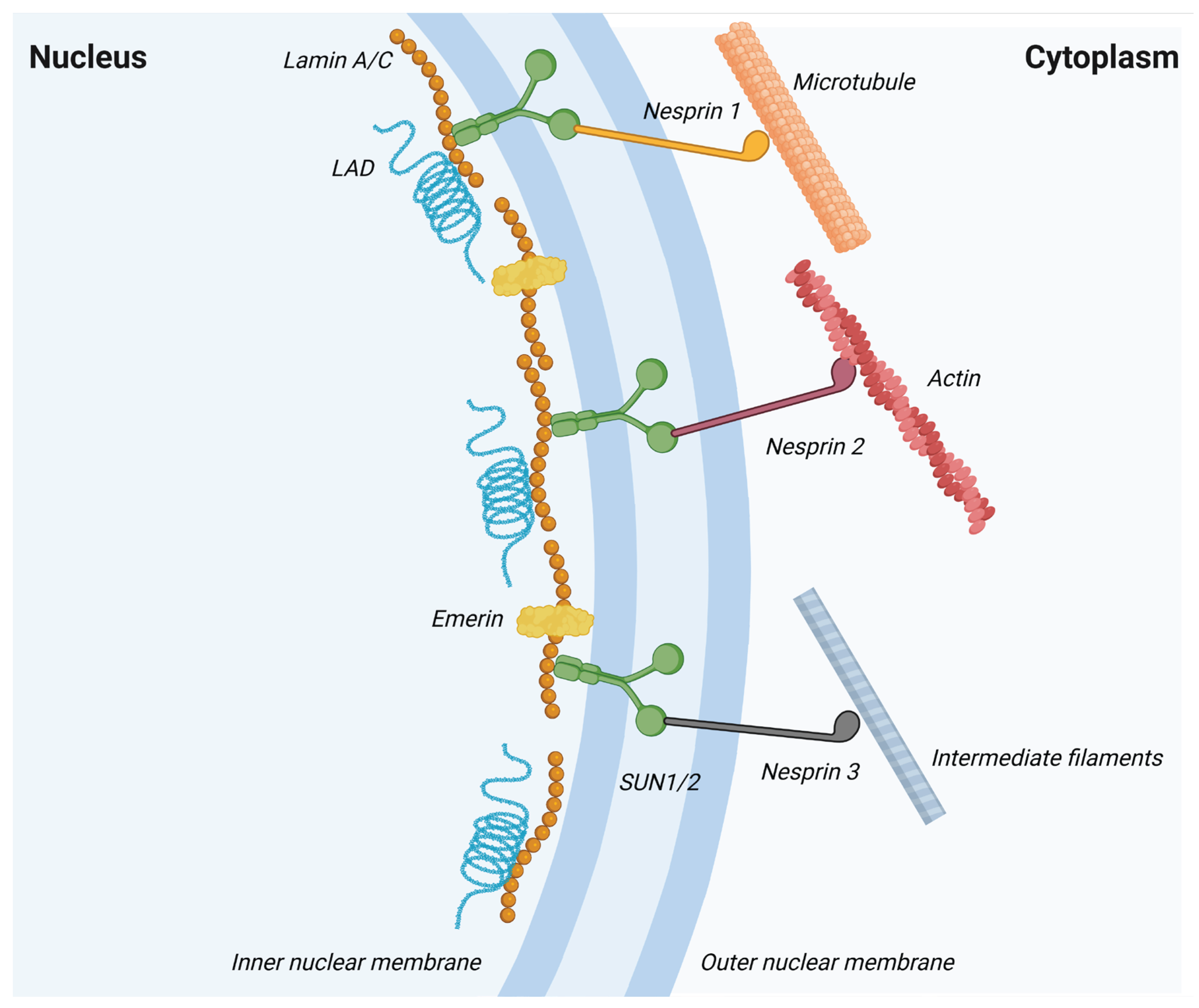 Preprints 196836 g003