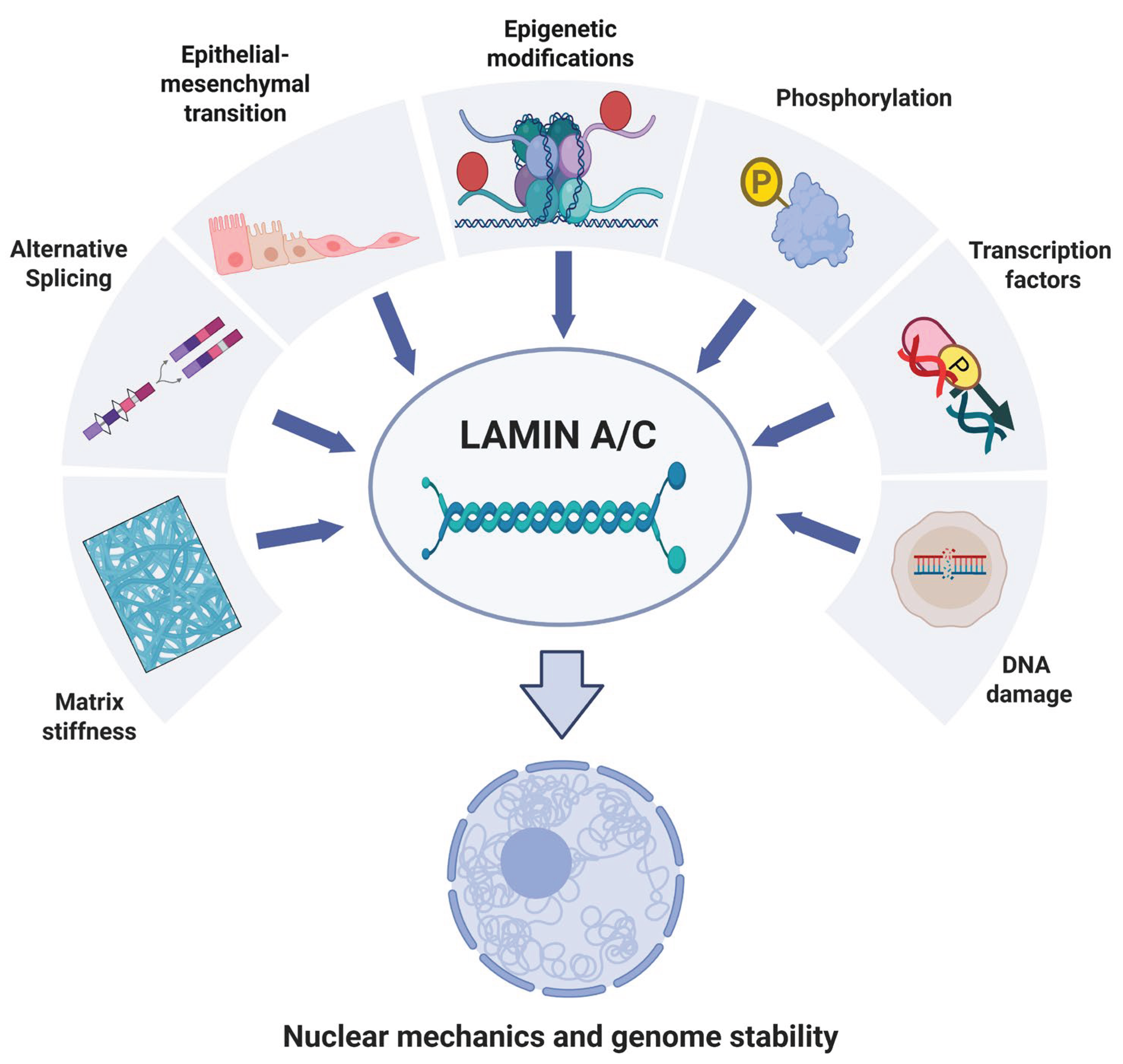 Preprints 196836 g004