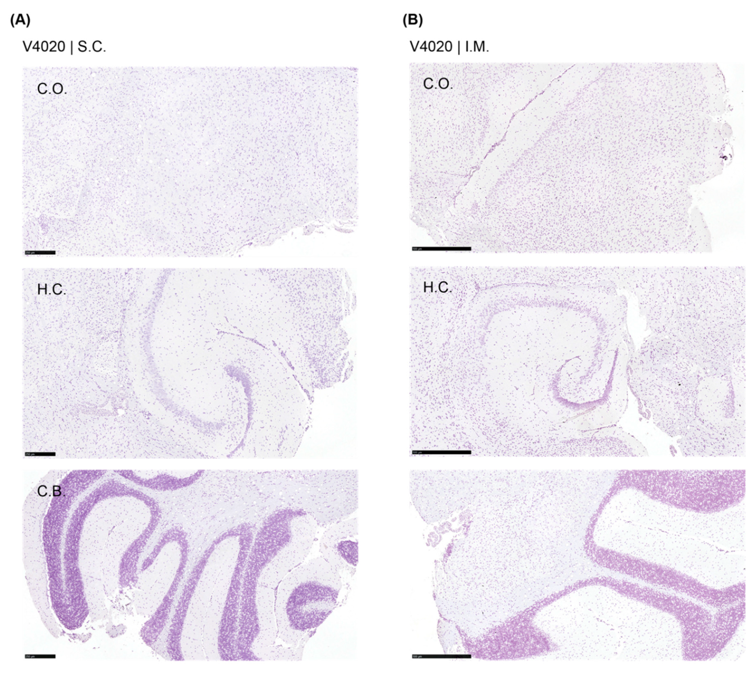 Preprints 165570 g005