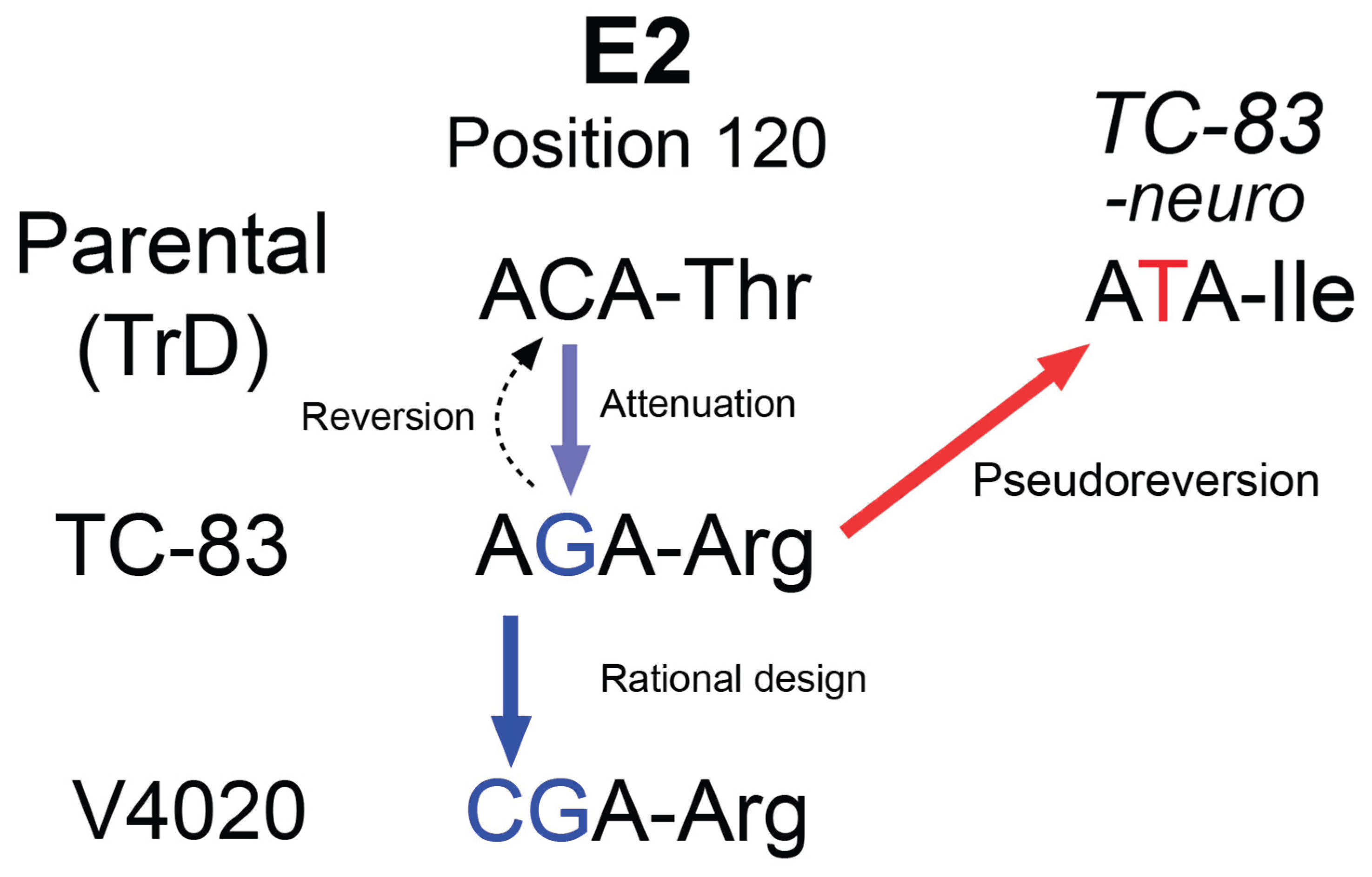 Preprints 165570 g007