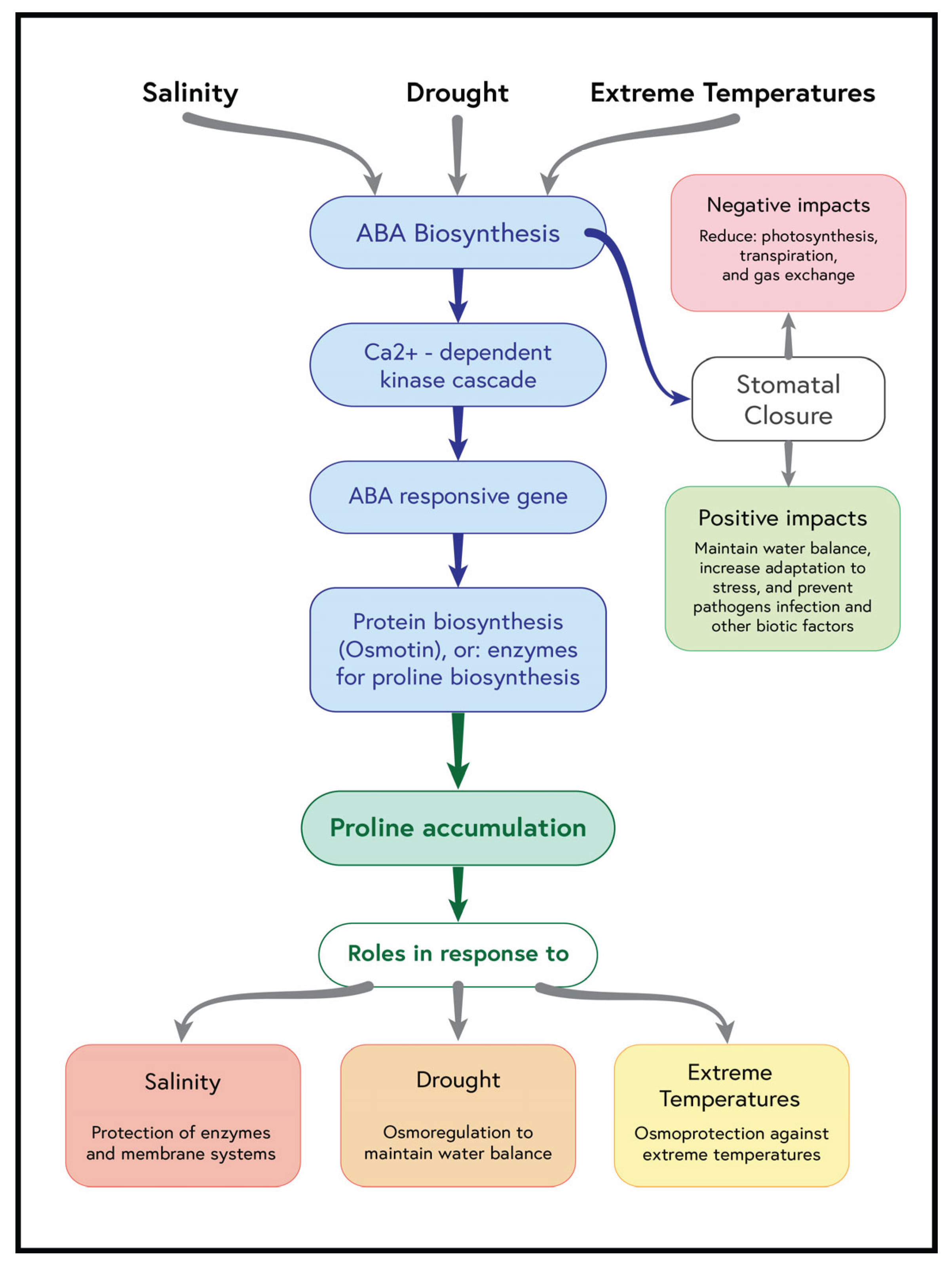 Preprints 207447 g001