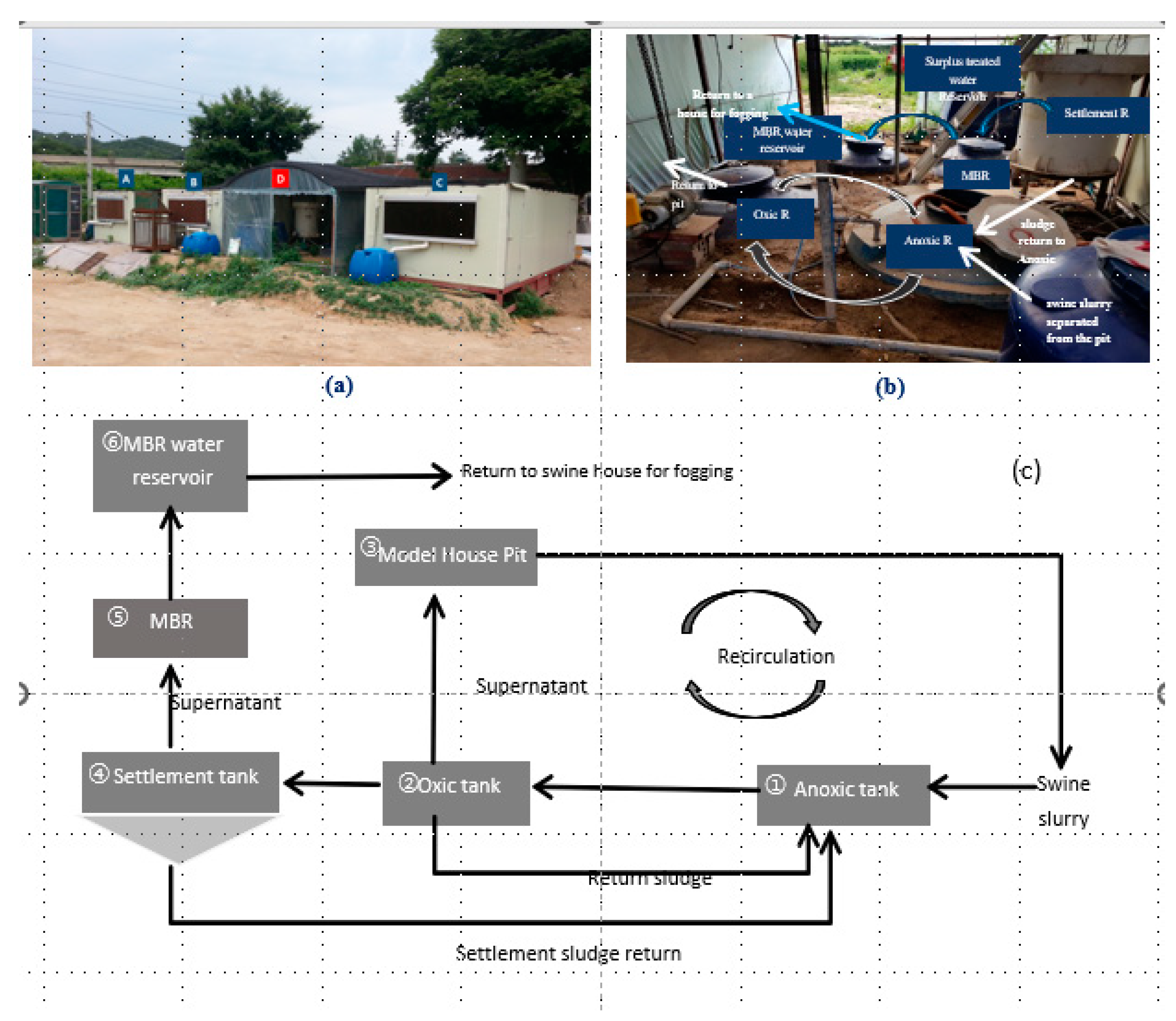 Preprints 145079 g002