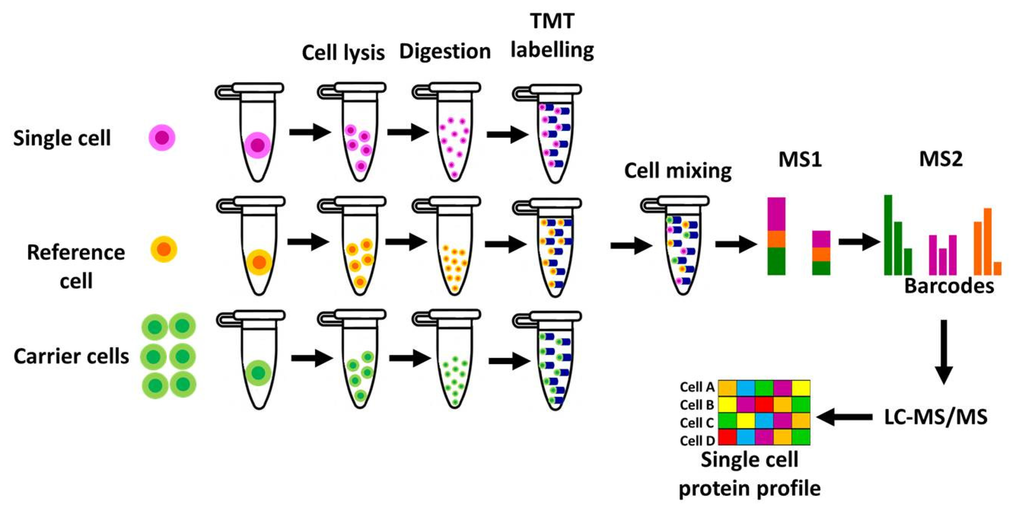 Preprints 158159 g001