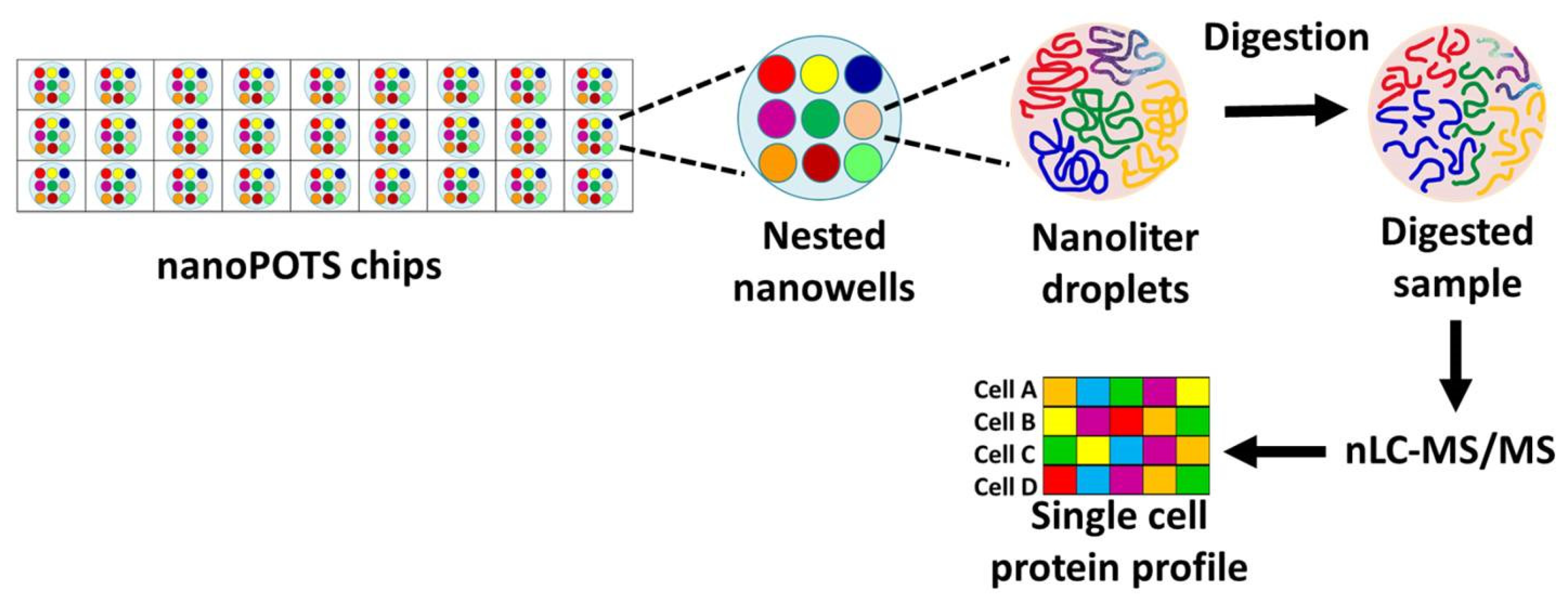 Preprints 158159 g002