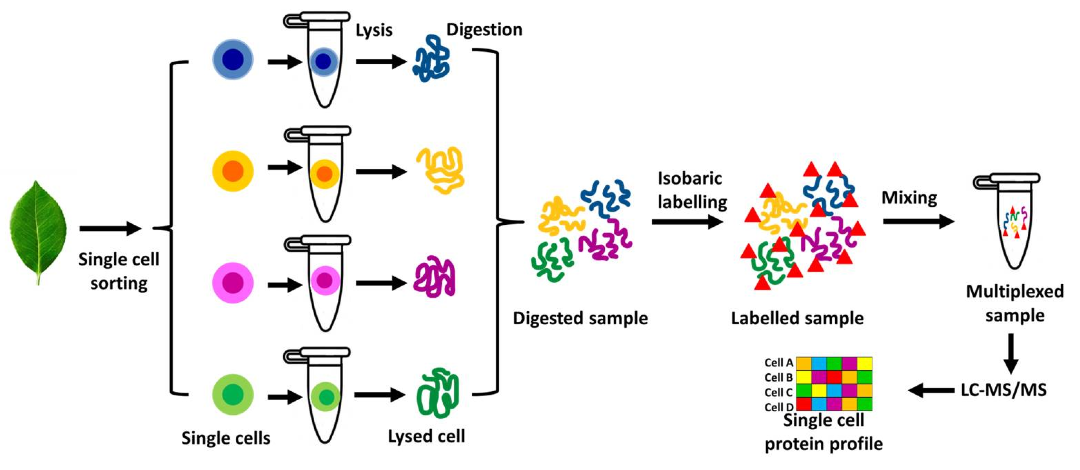 Preprints 158159 g003