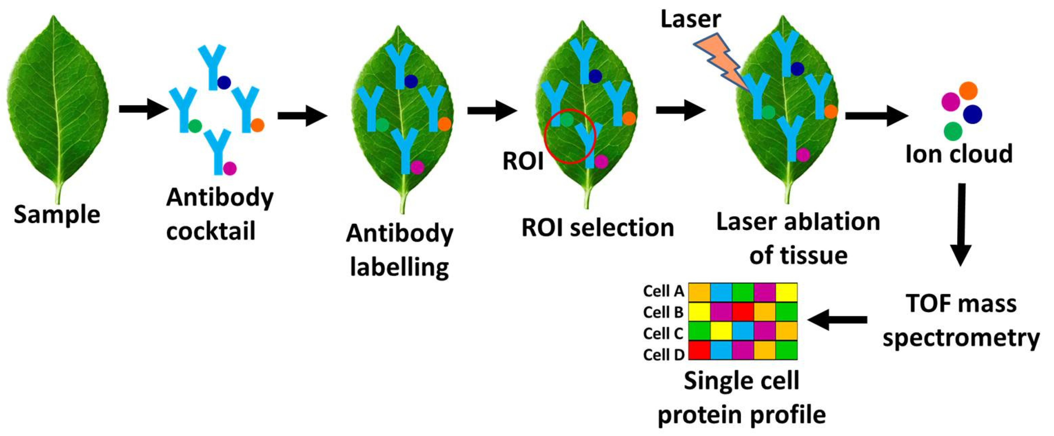 Preprints 158159 g005