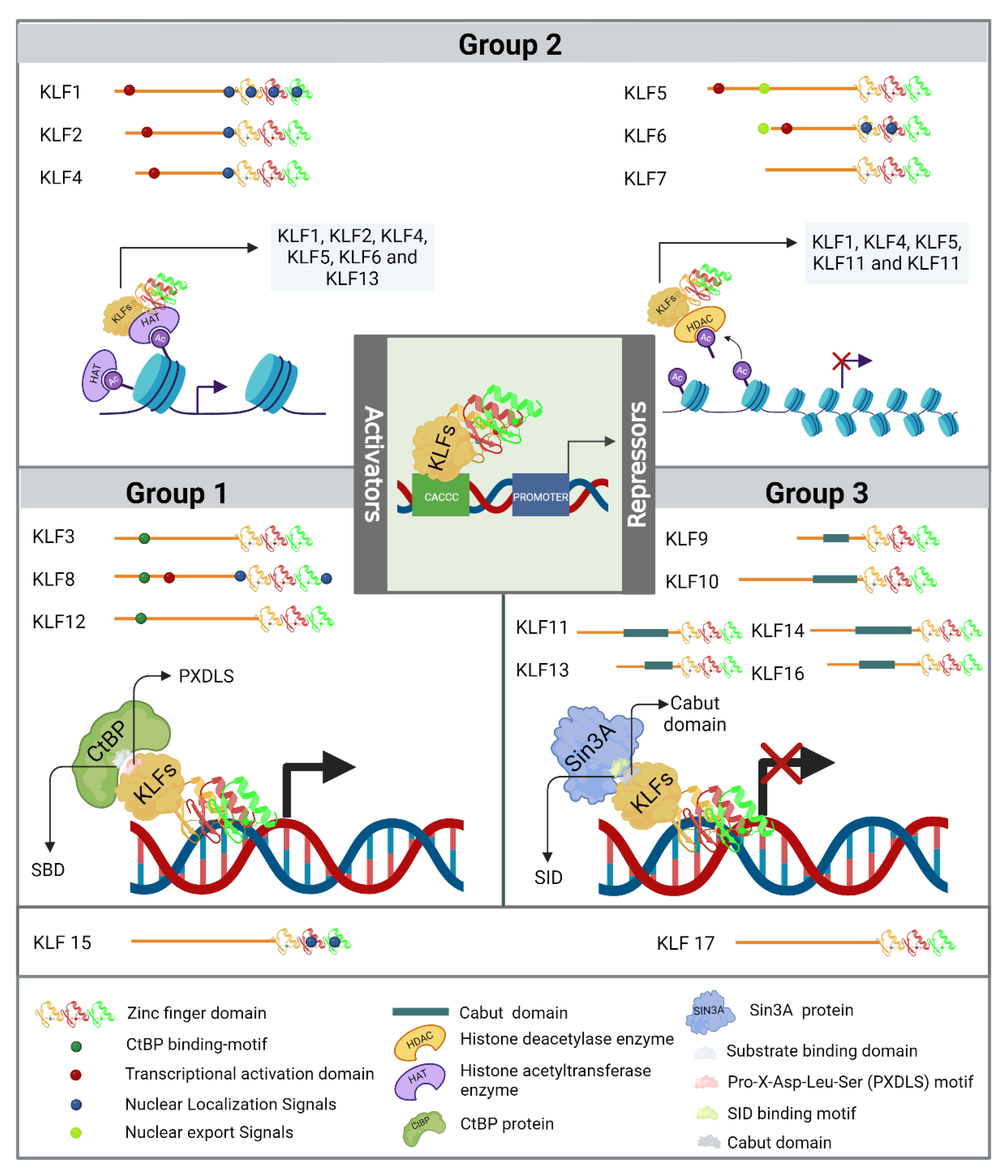 Preprints 120510 g001