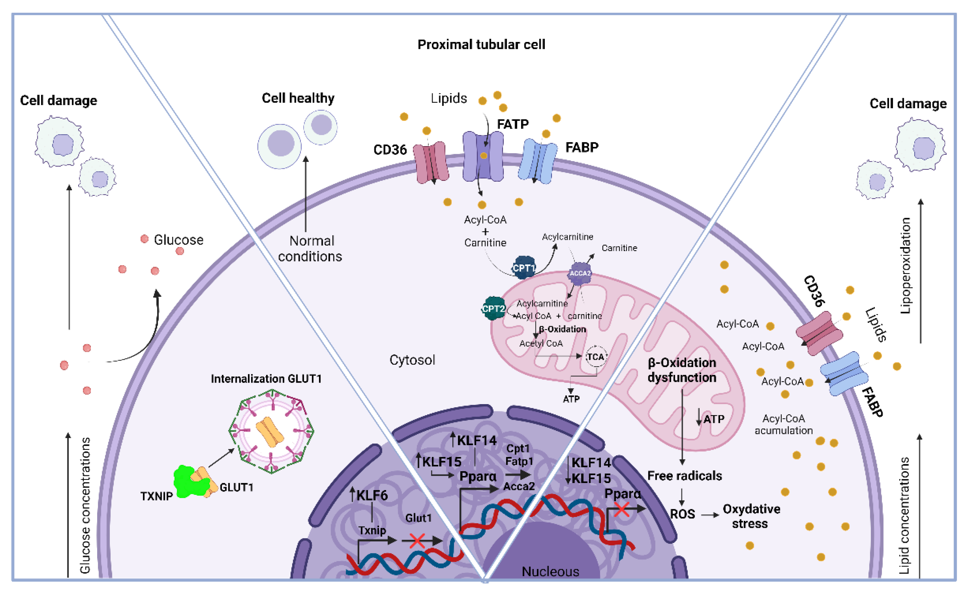Preprints 120510 g004