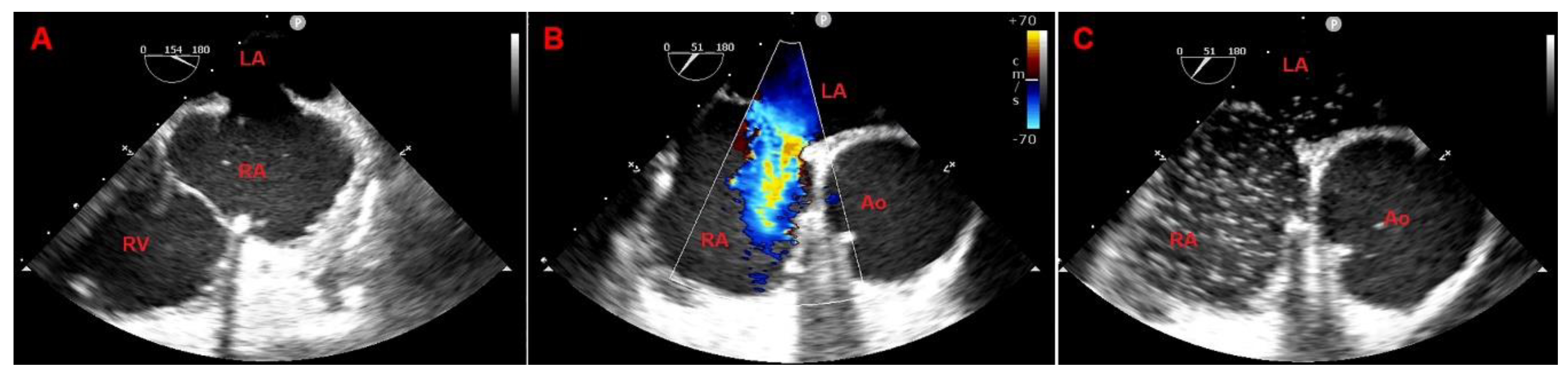 Preprints 152612 g002