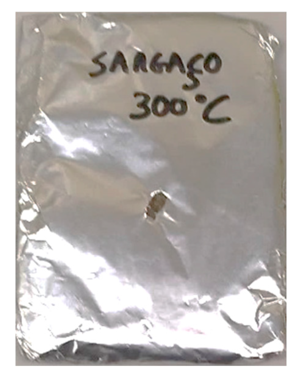 Preprints 151885 g004