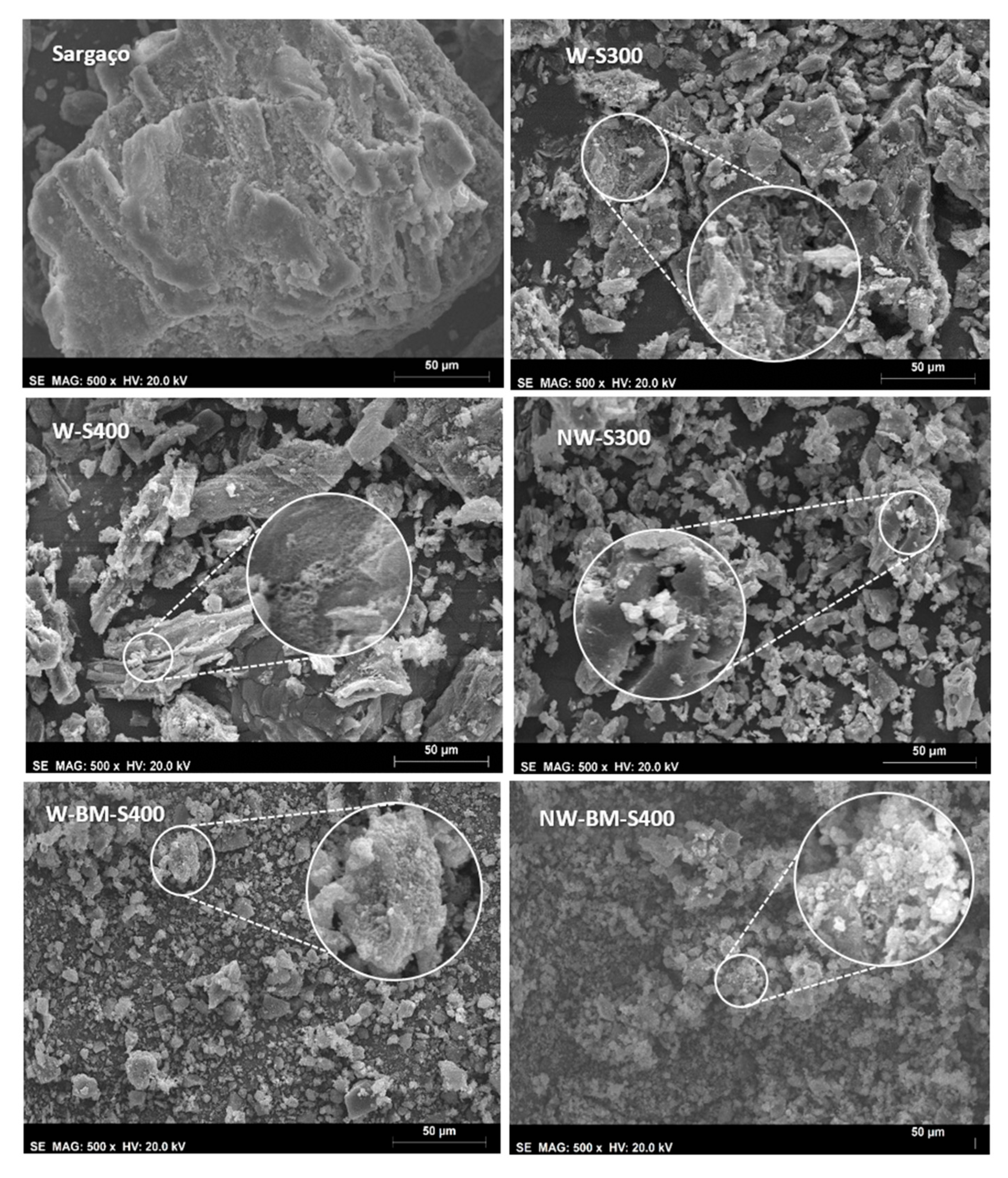 Preprints 151885 g010