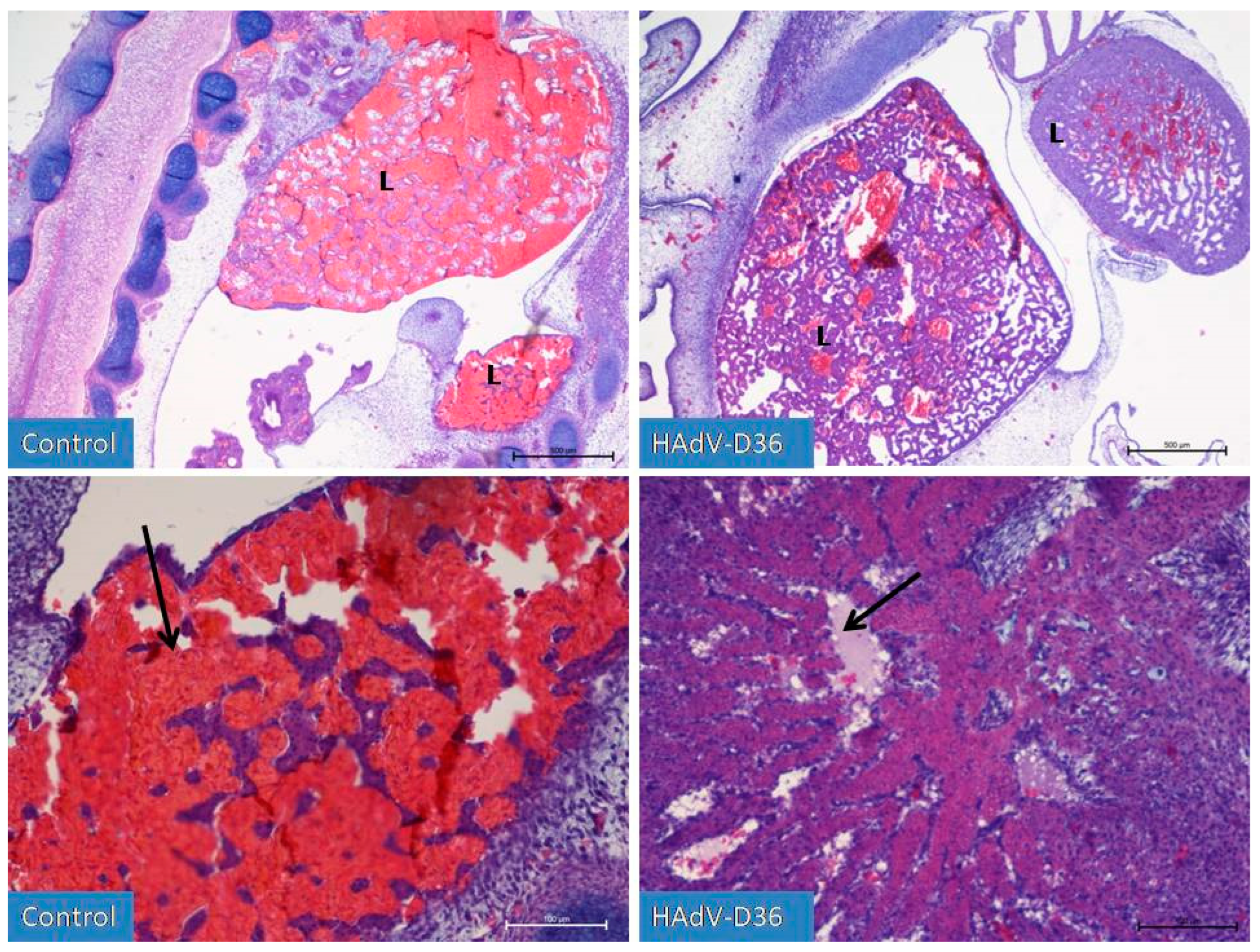 Preprints 95222 g002