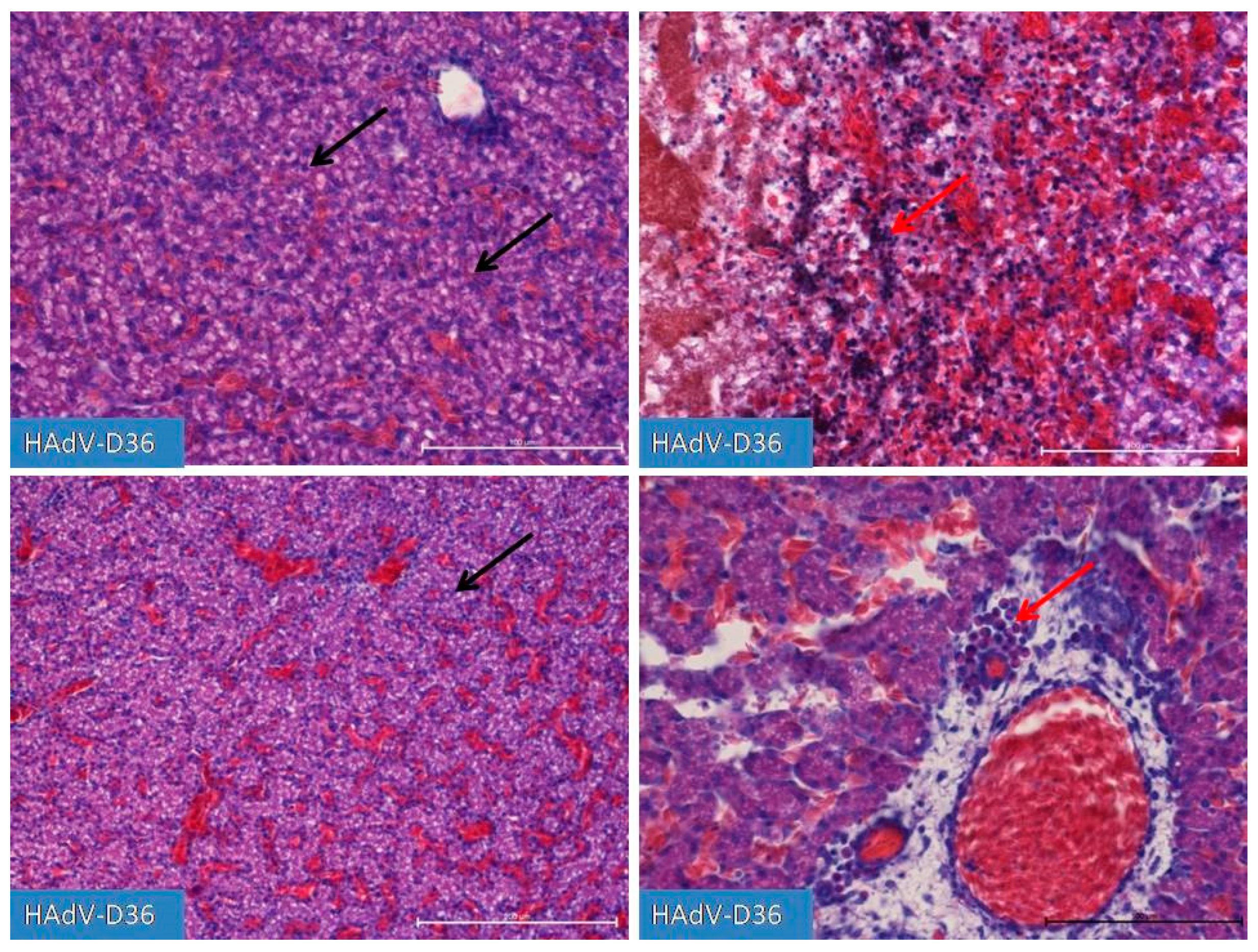 Preprints 95222 g004