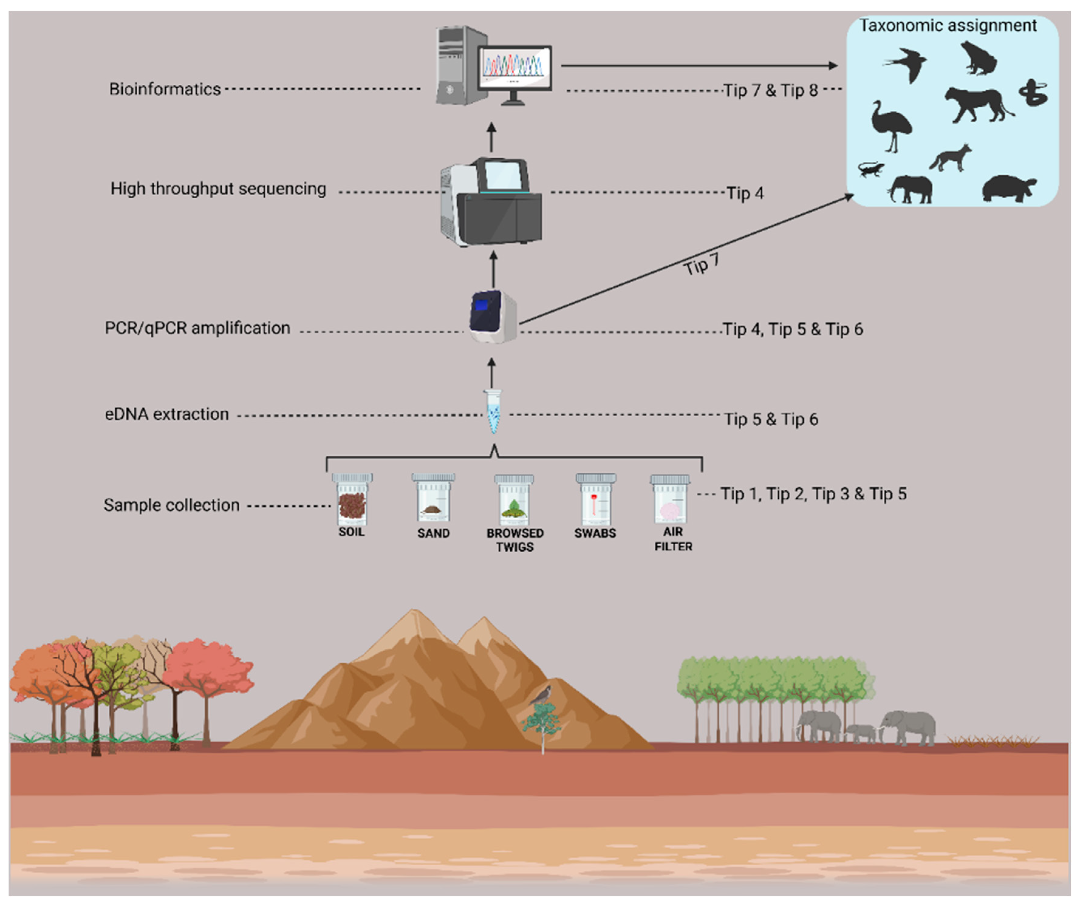 Preprints 151026 g001