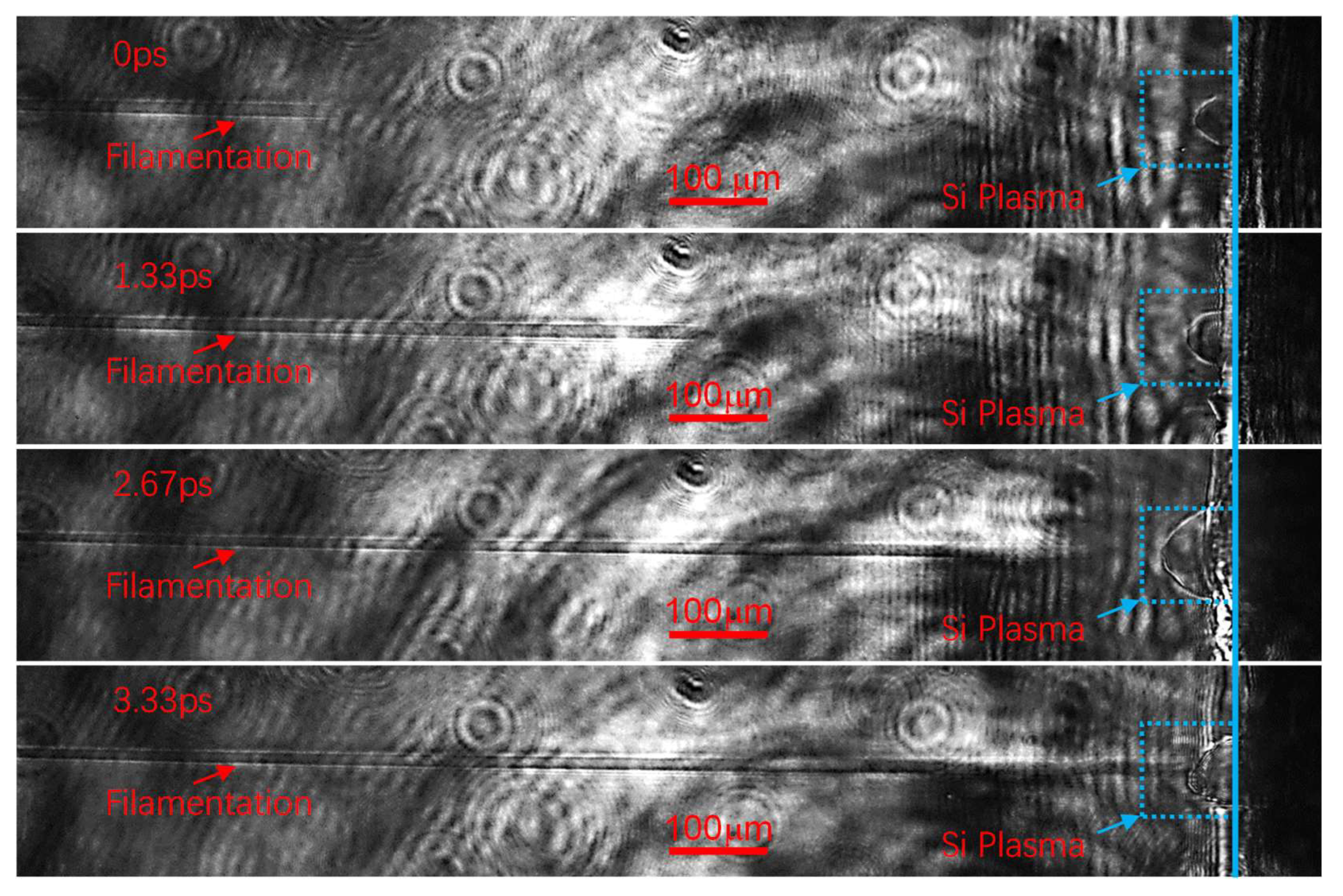 Preprints 148030 g003
