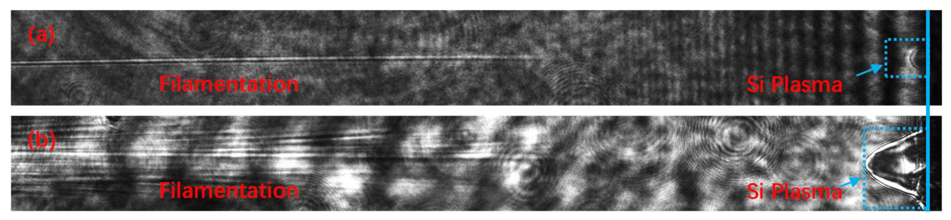 Preprints 148030 g004