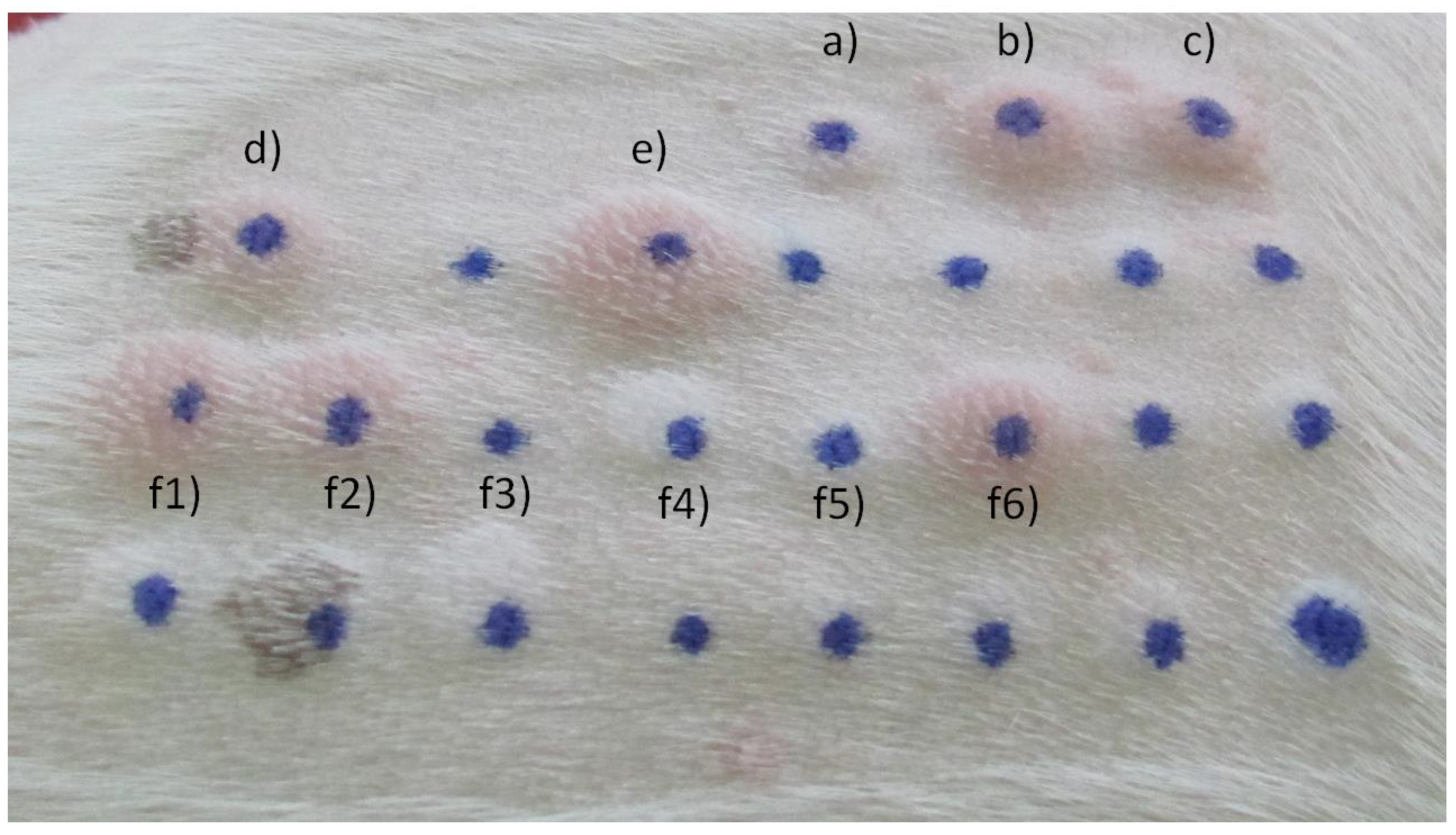 Preprints 81061 g002