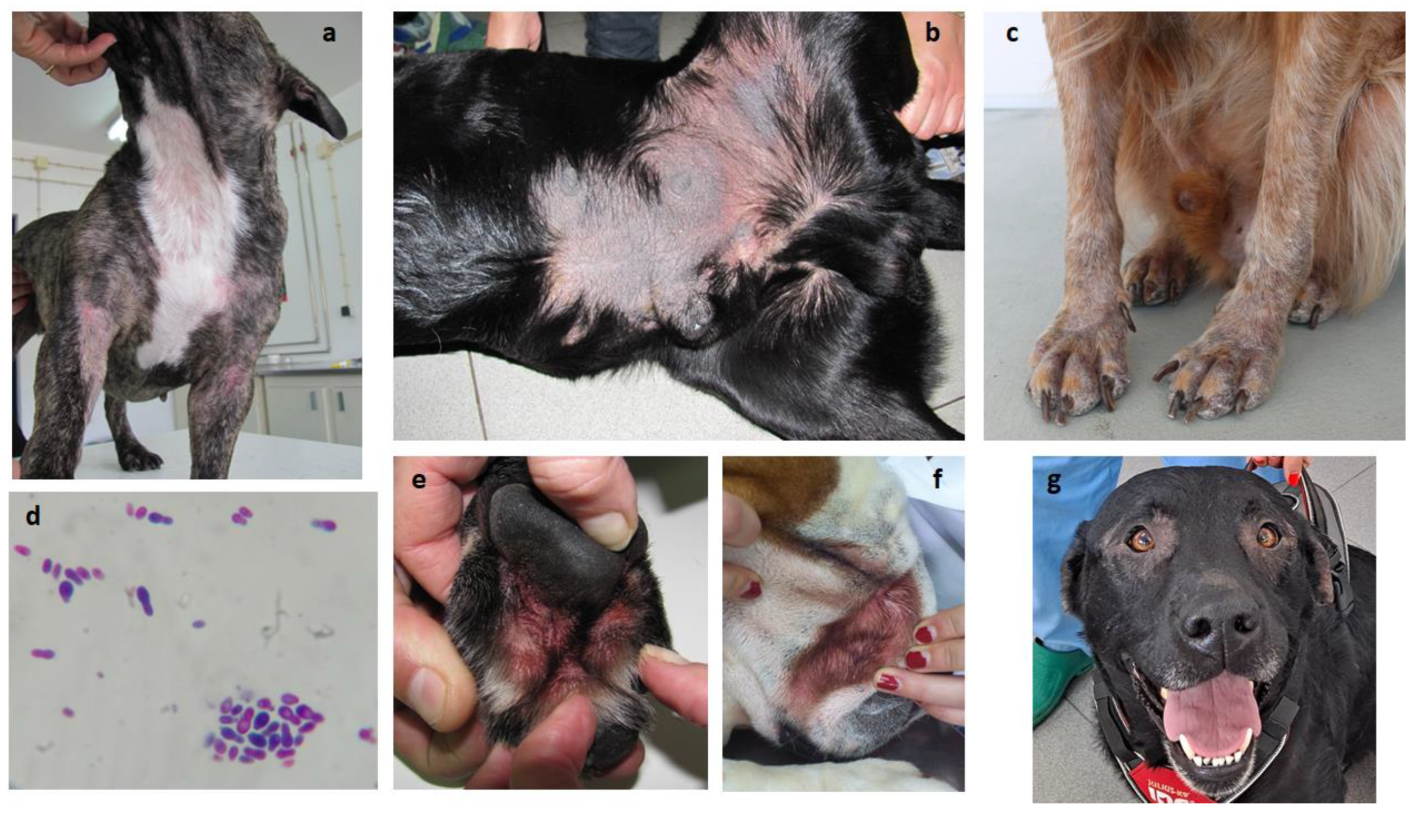 Preprints 81061 g003