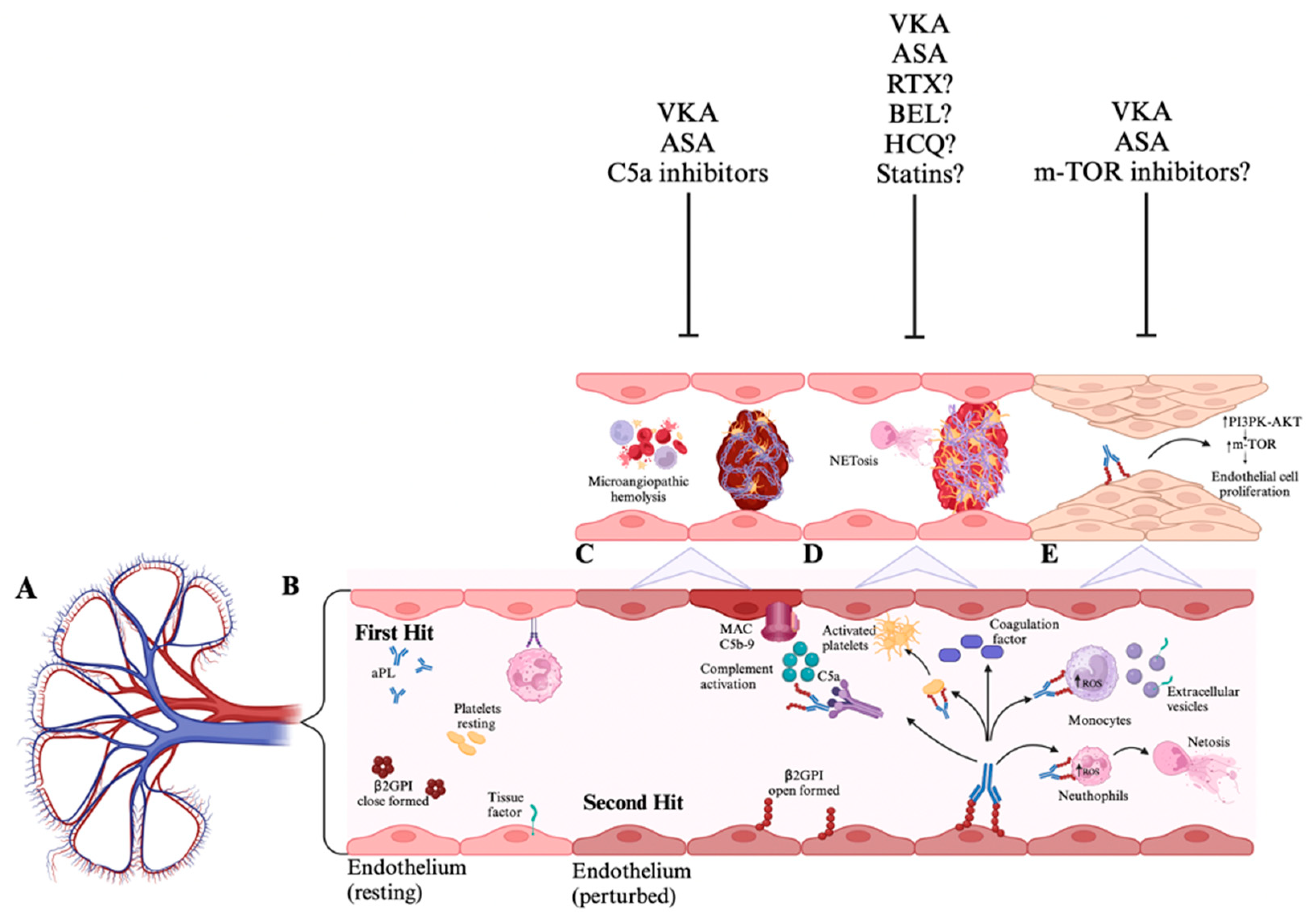 Preprints 153261 g001