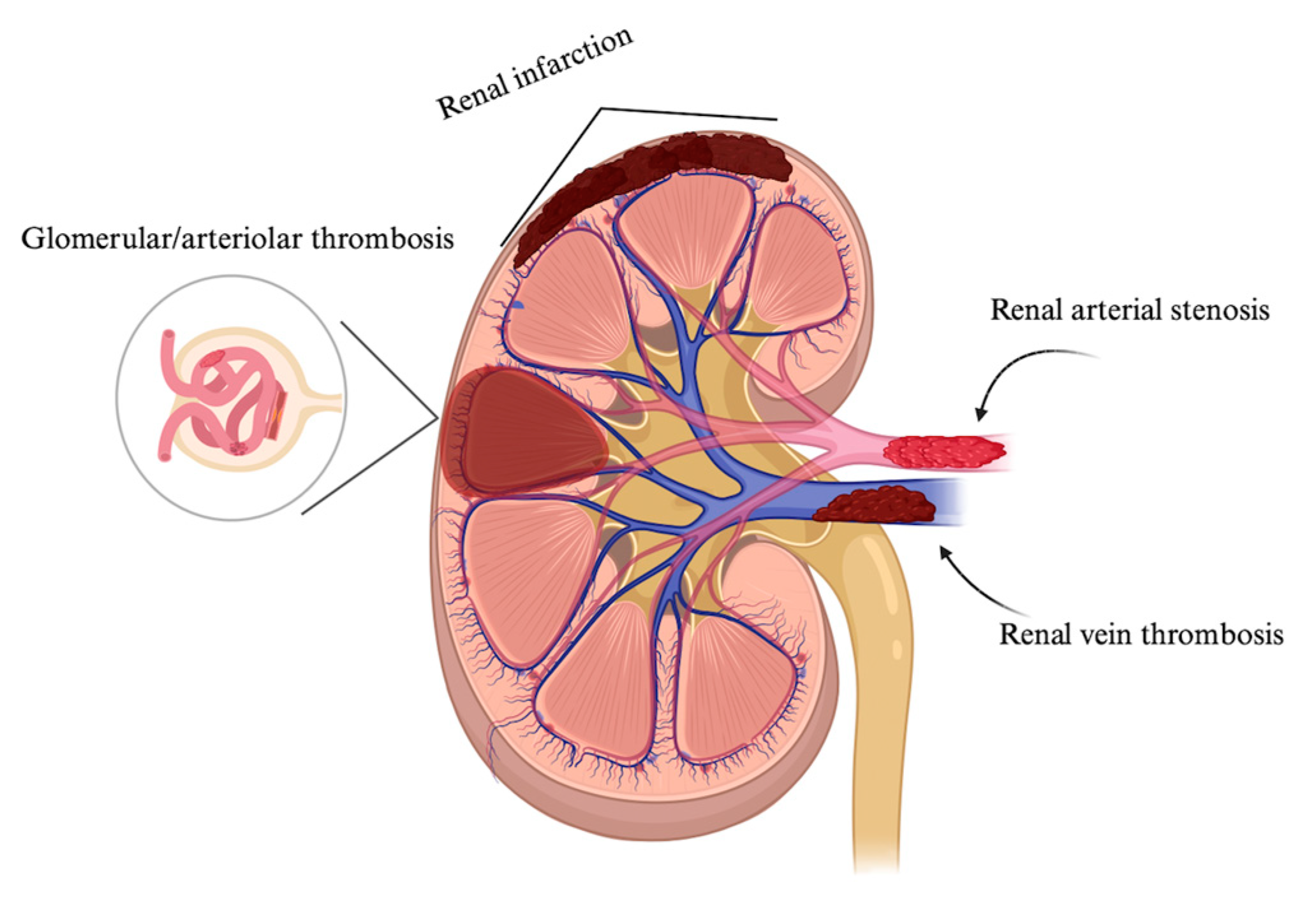 Preprints 153261 g002