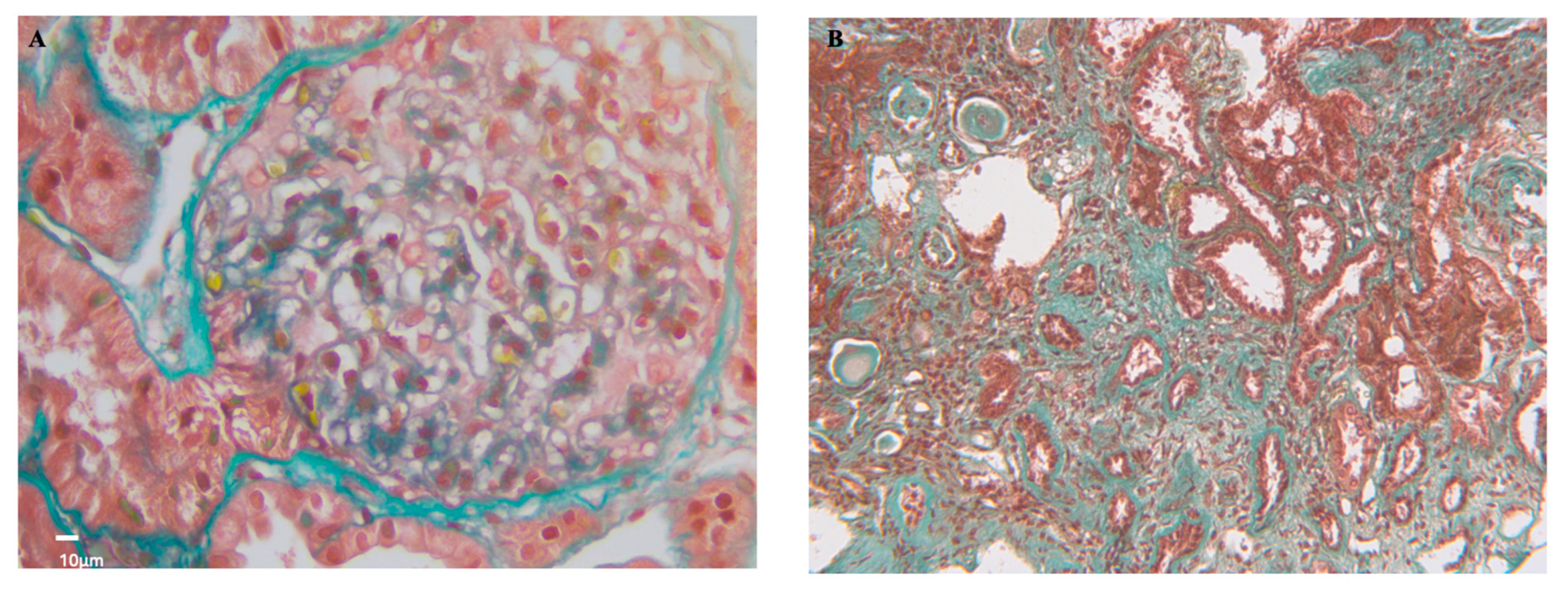 Preprints 153261 g003