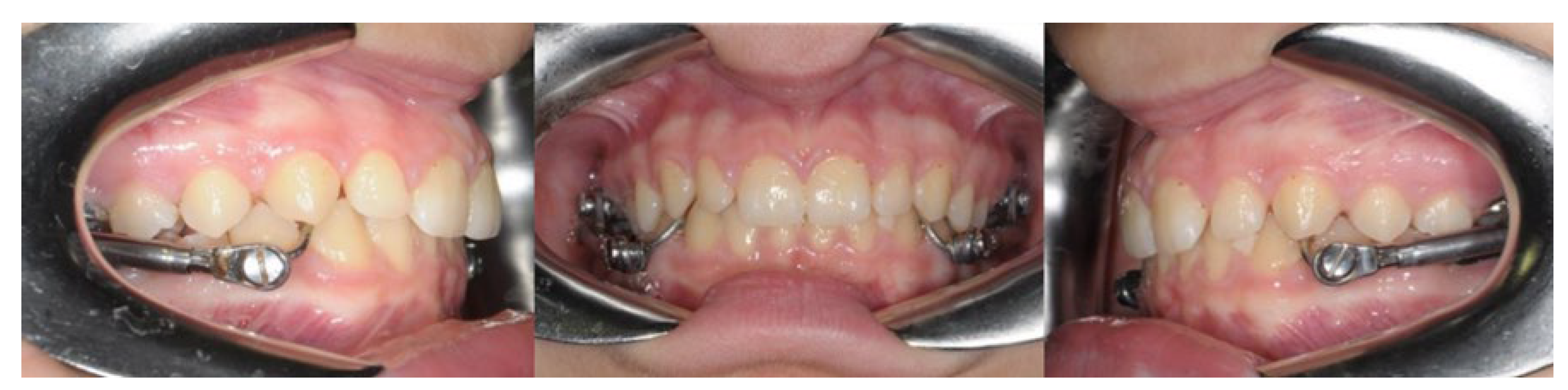 Preprints 121109 g001