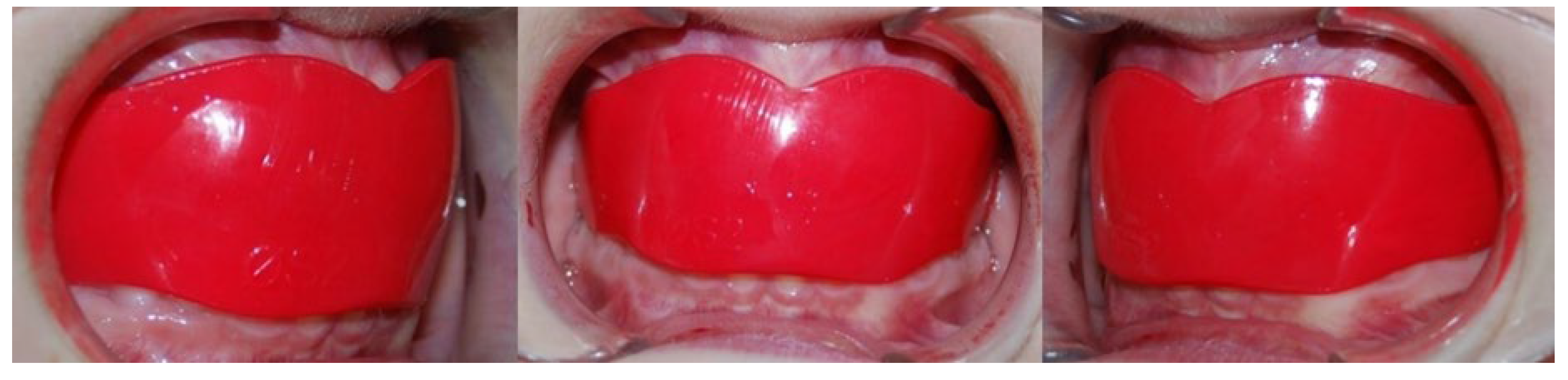 Preprints 121109 g002