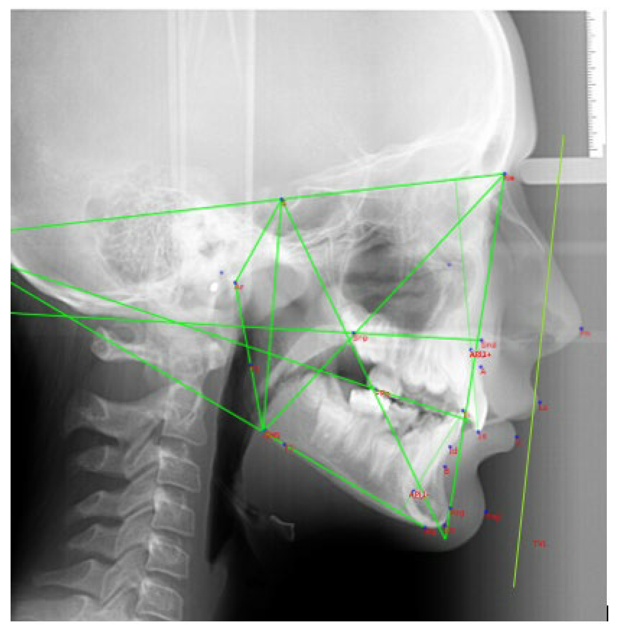 Preprints 121109 g003