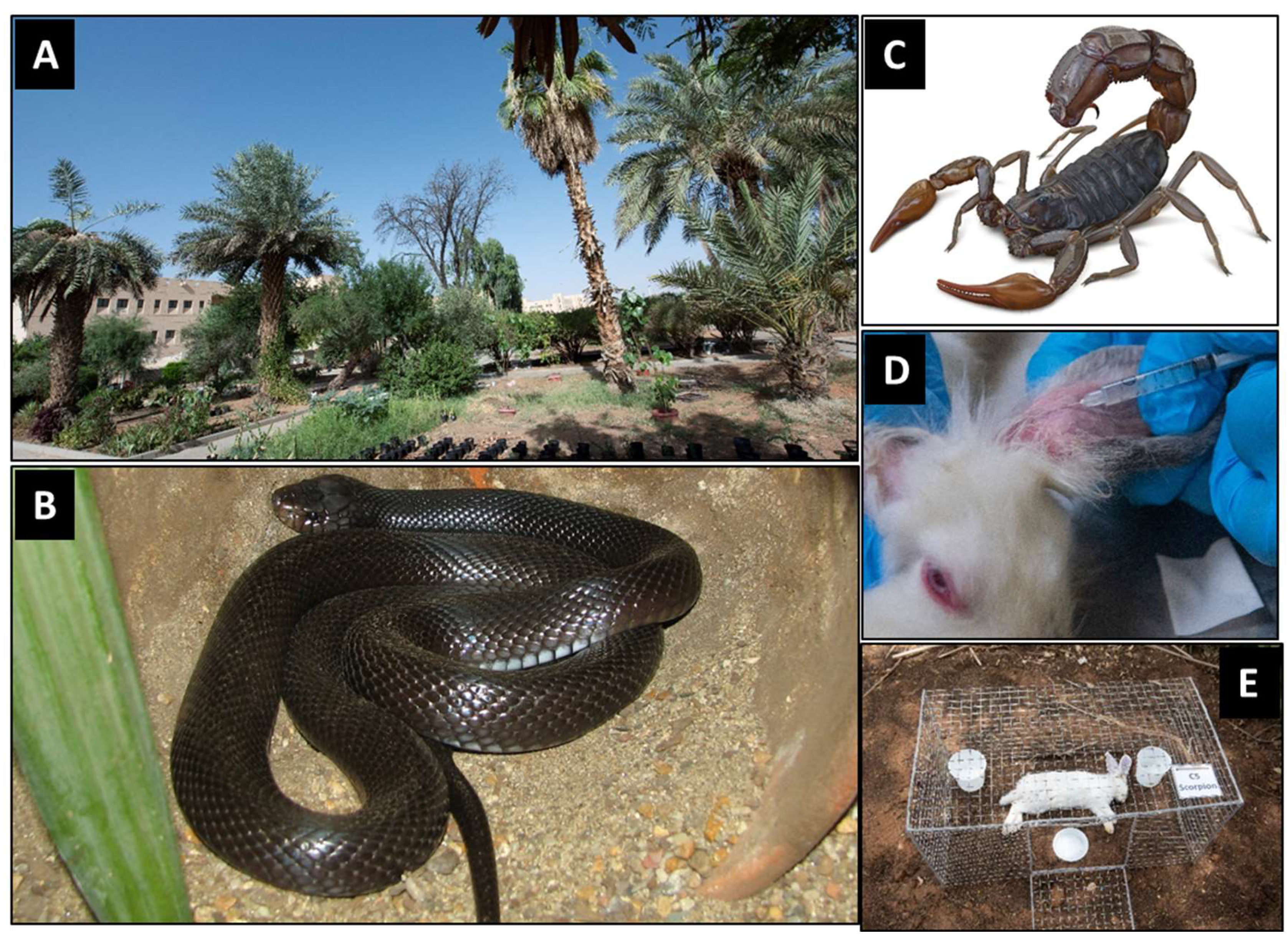 Preprints 158628 g001