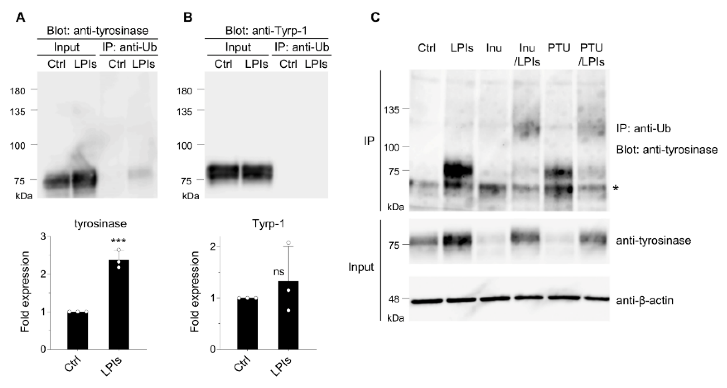 Preprints 94633 g001