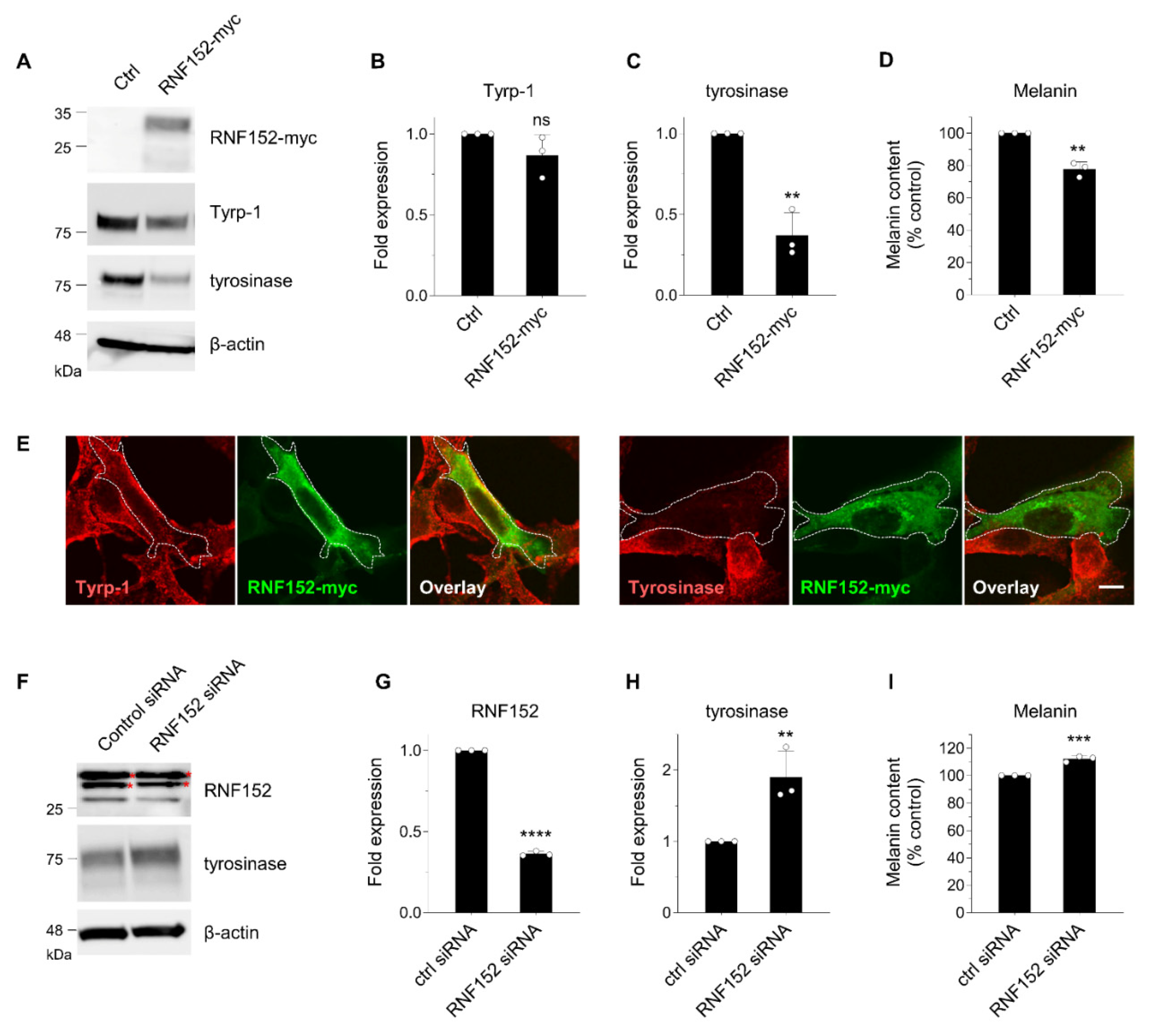 Preprints 94633 g002