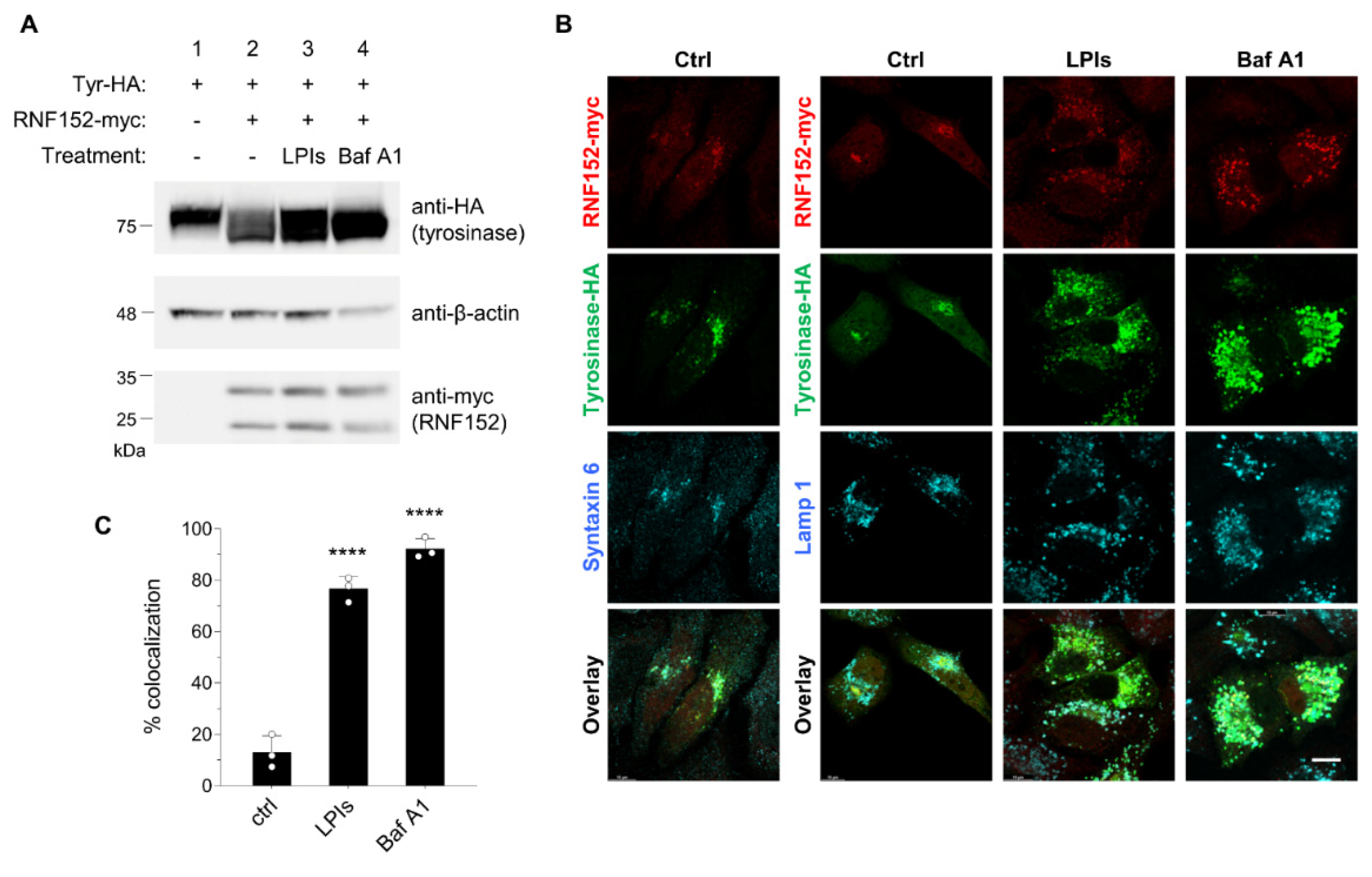 Preprints 94633 g003