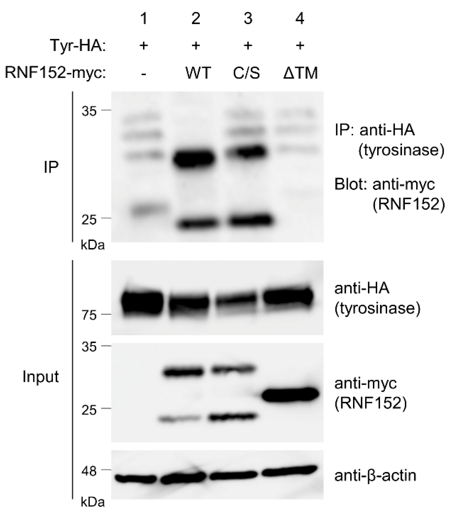Preprints 94633 g004