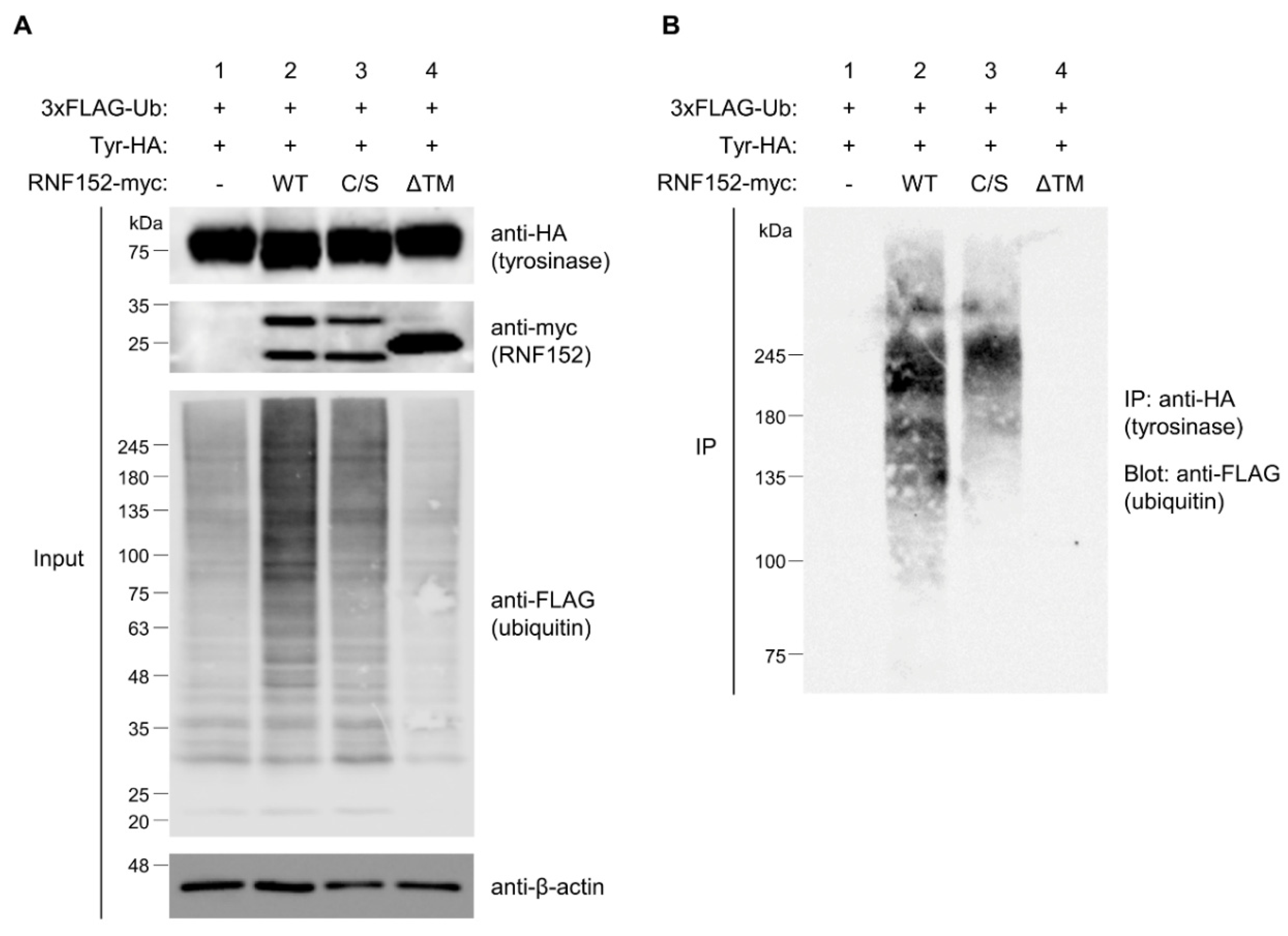 Preprints 94633 g005